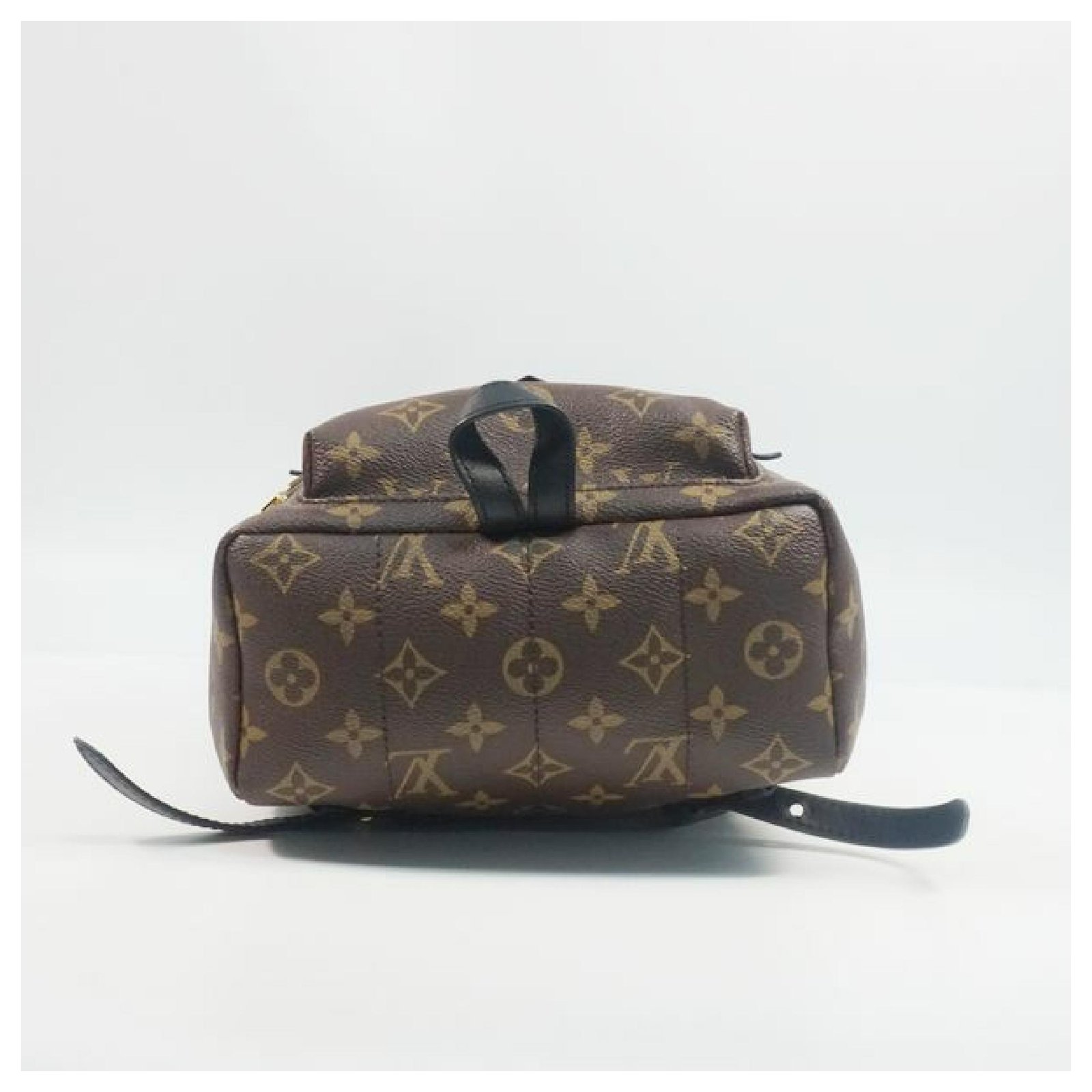 Louis Vuitton Palm Springs BackpackPM Mochila para mujer Daypack M41560  ref.204820 - Joli Closet