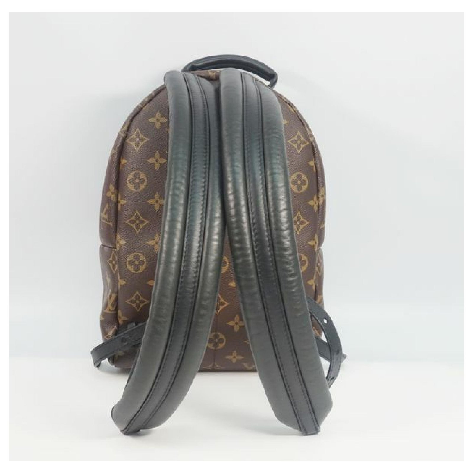 LOUIS VUITTON Palm Springs Mochila PM Mochila para mujer Daypack M41560  Lienzo ref.210082 - Joli Closet