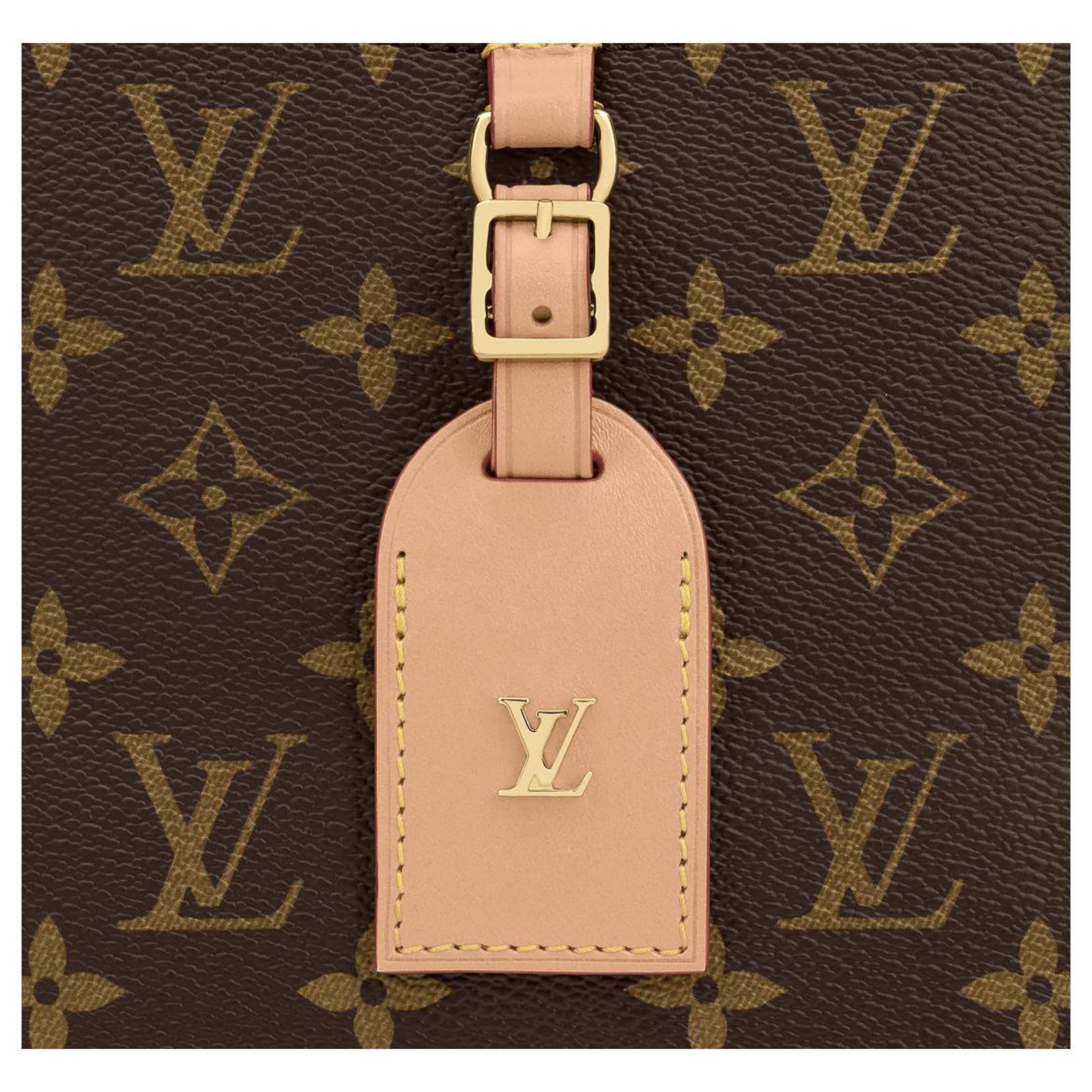Louis Vuitton LV Onthego MM new Brown Leather ref.219659 - Joli Closet