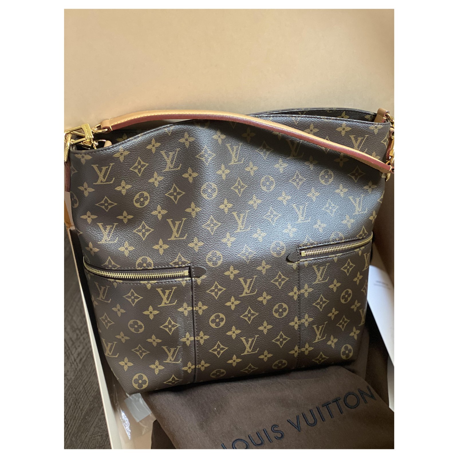 Louis Vuitton Melie Gold hardware Leather ref.215115 - Joli Closet