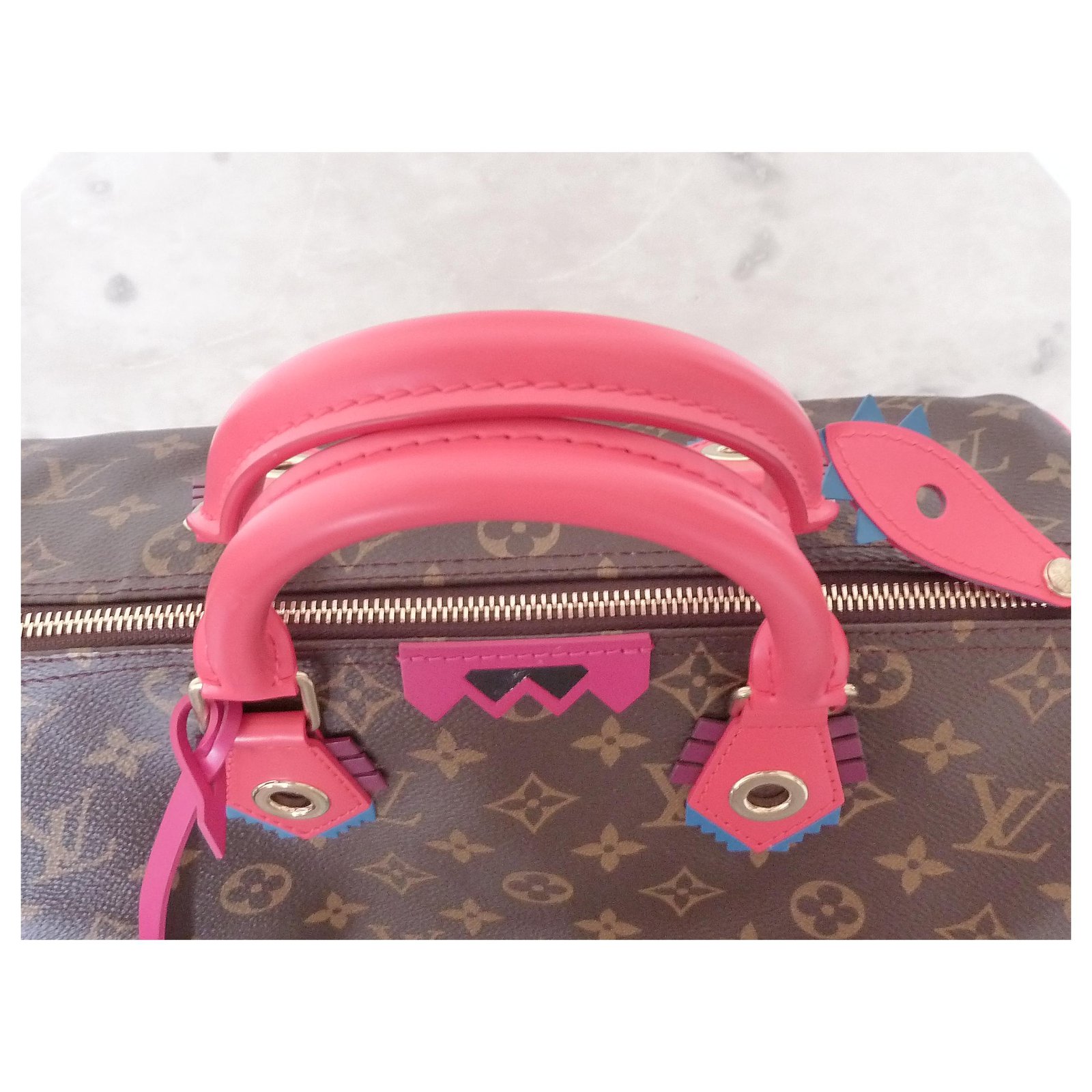 LOUIS VUITTON Speedy Monogram Totem limited edition bag Multiple colors  Cloth ref.216152 - Joli Closet