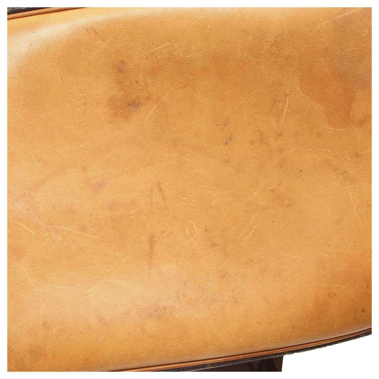 Monogram Coated Canvas Louis Vuitton Petit Noe Brown Cloth ref.934572 -  Joli Closet