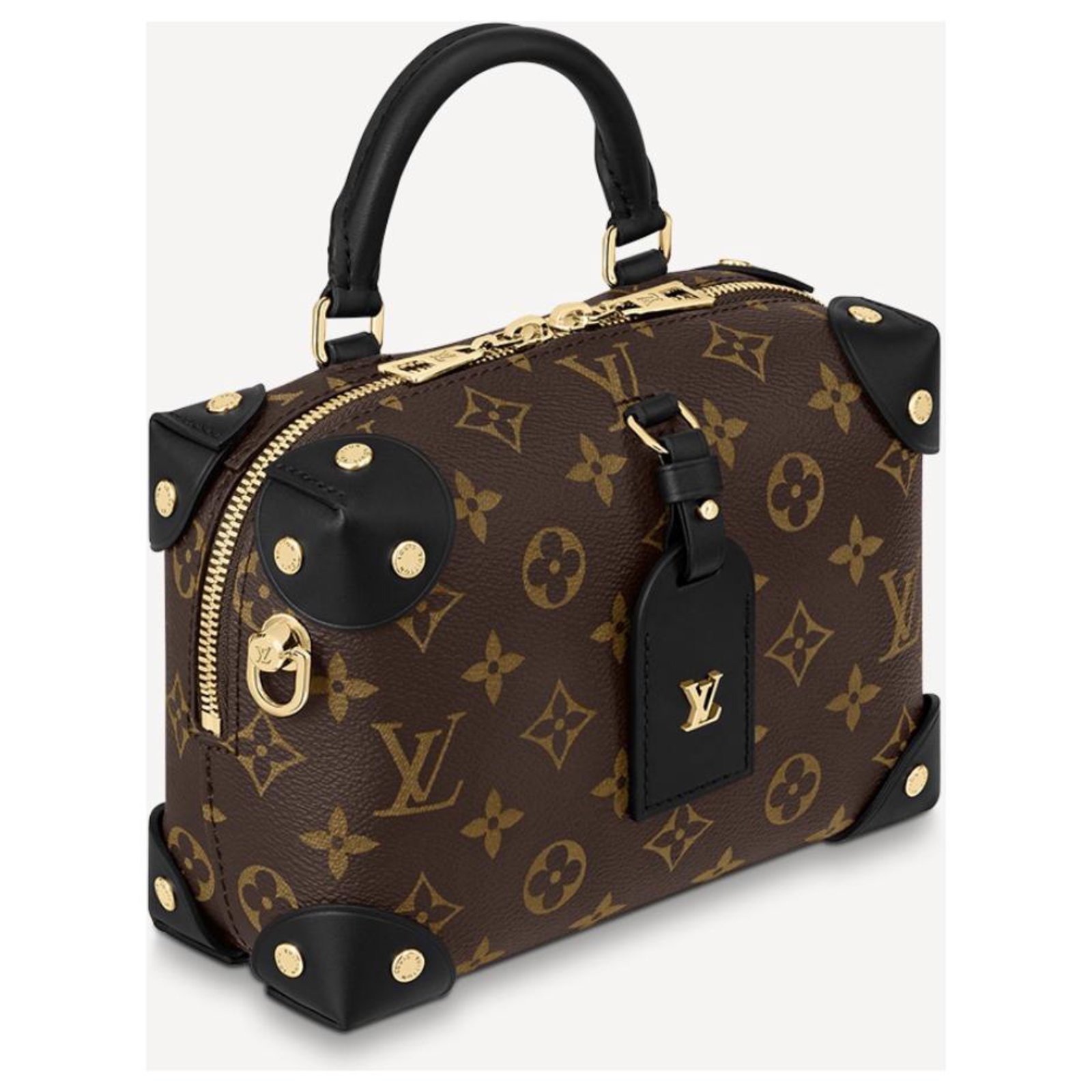 Handbags Louis Vuitton LV Petite Malle Souple New