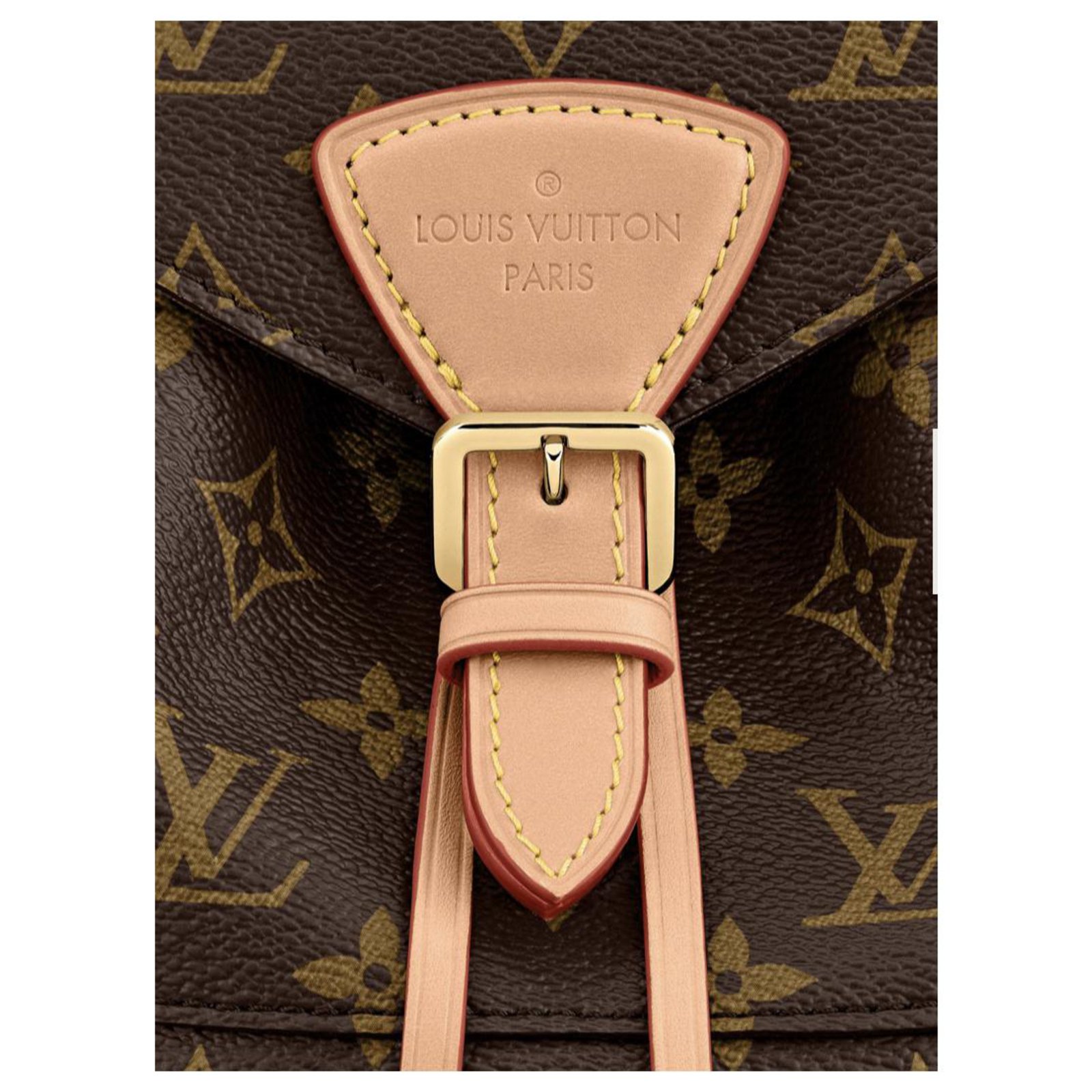 Louis Vuitton LV Montsouris PM Monogram new Brown ref.223880