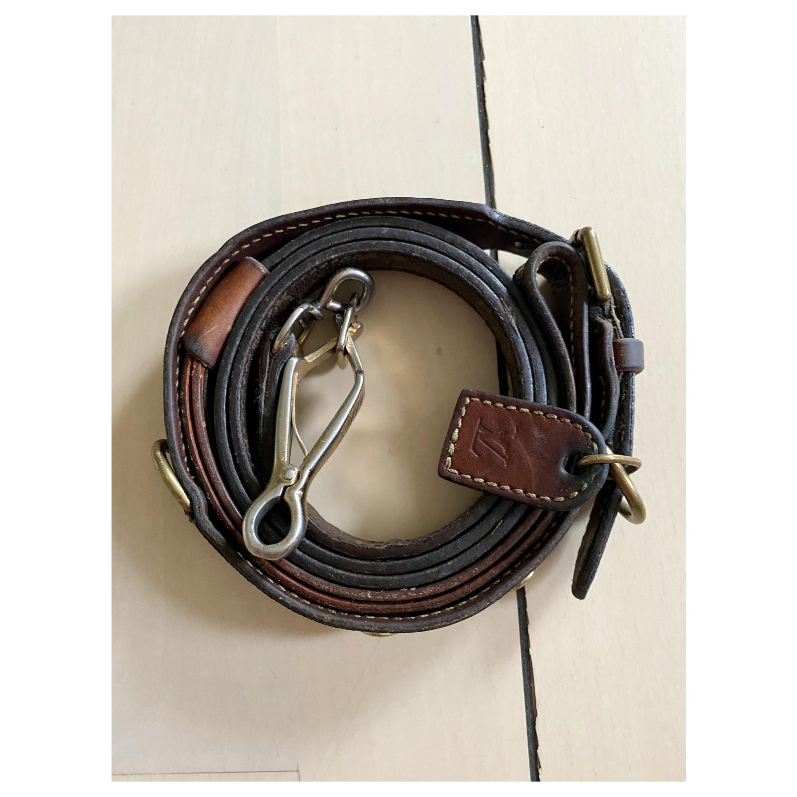 Louis Vuitton dog collar with leash Brown ref.225165 - Joli Closet
