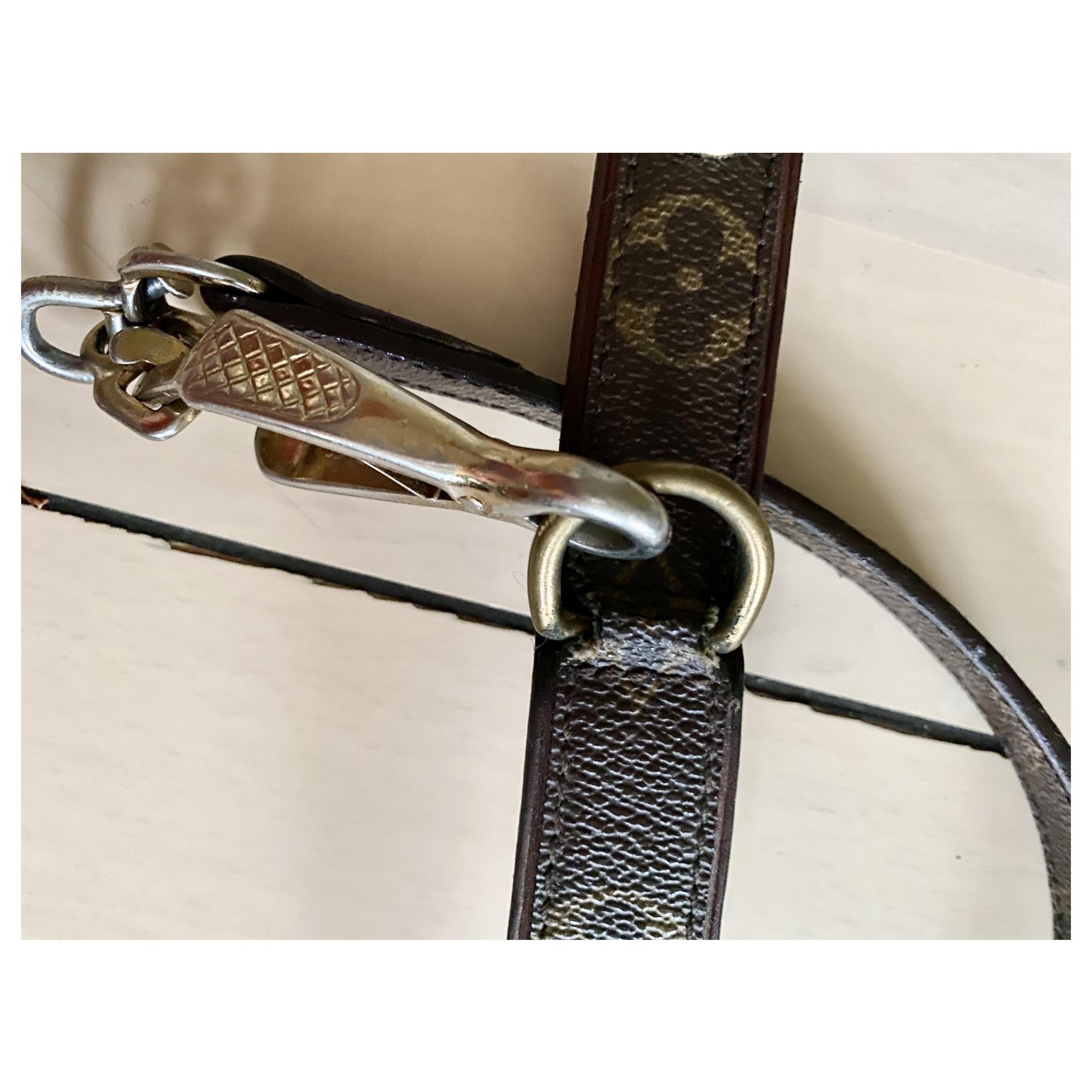 Louis Vuitton dog collar with leash Brown ref.225165 - Joli Closet
