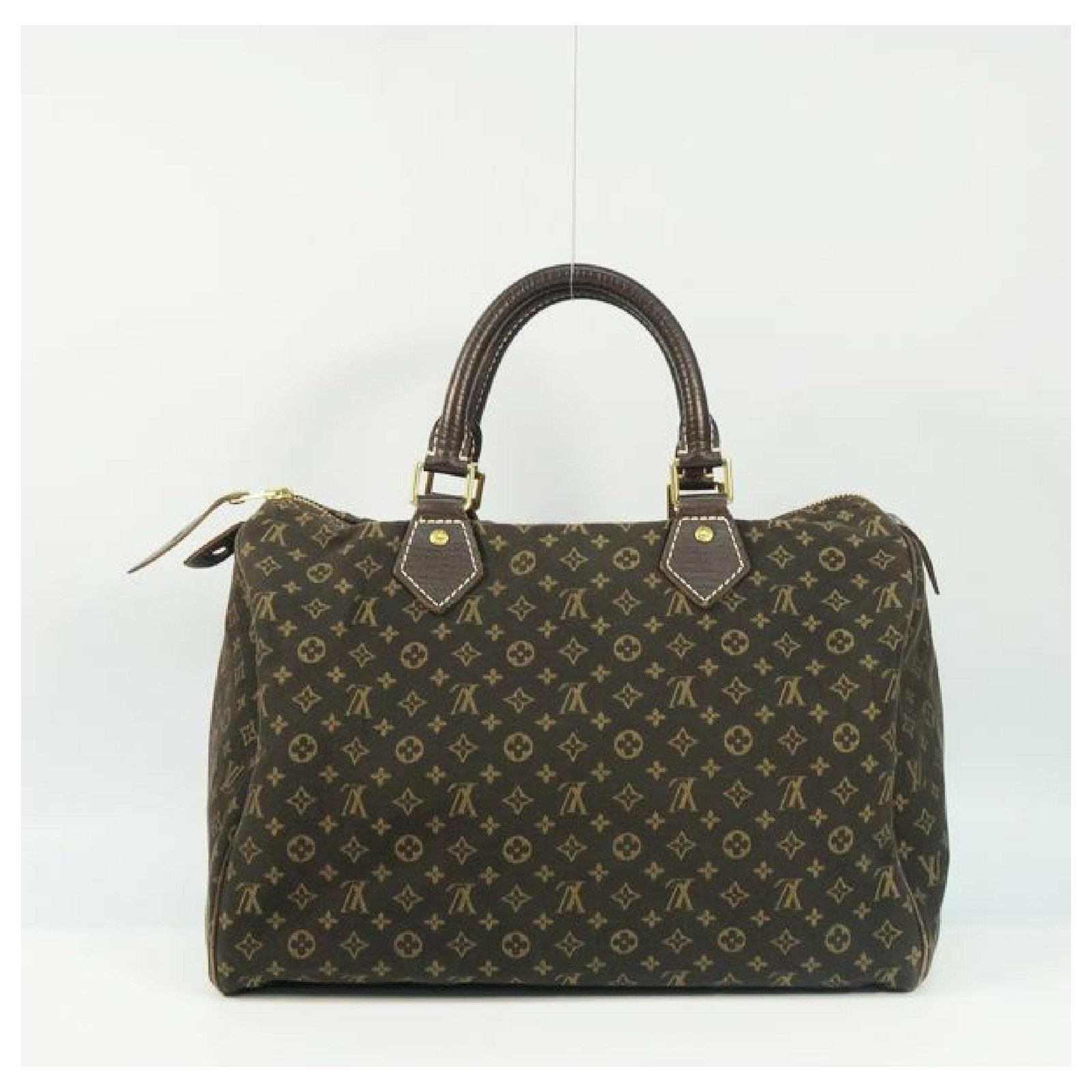 LOUIS VUITTON Mini Lin Speedy 30 Ebene