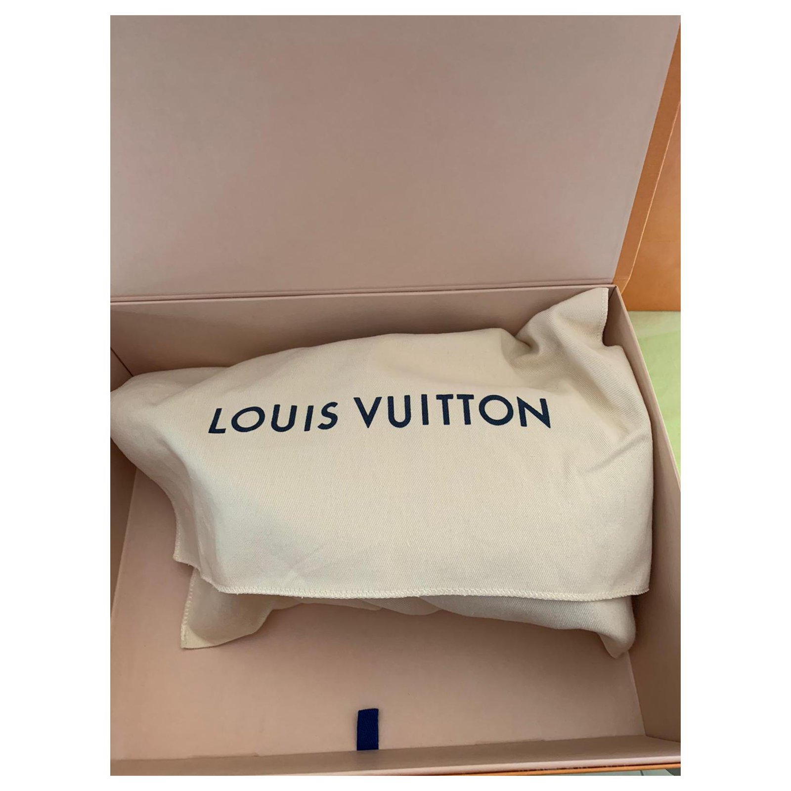 LOUIS VUITTON MULTI POCHETTE ACCESSOIRES Blue Cloth ref.911407 - Joli Closet