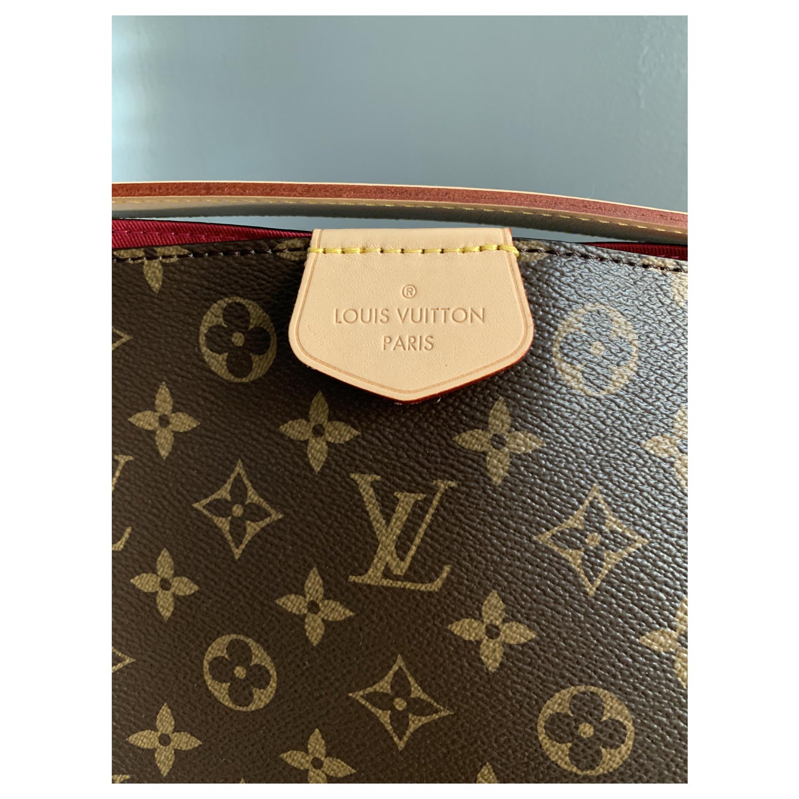 Louis Vuitton Phenix MM Monogram Brown Cloth ref.889963 - Joli Closet