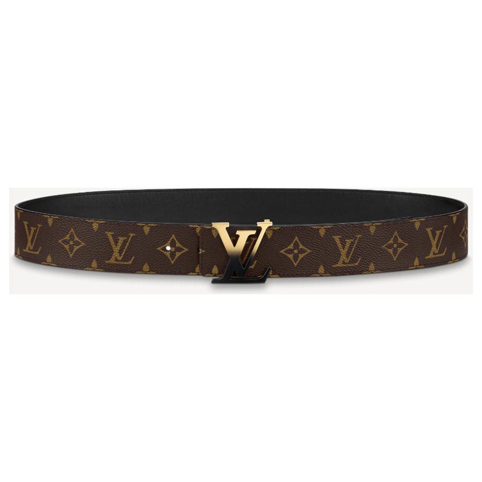 Louis Vuitton LV belt spray logo Brown ref.239407 - Joli Closet