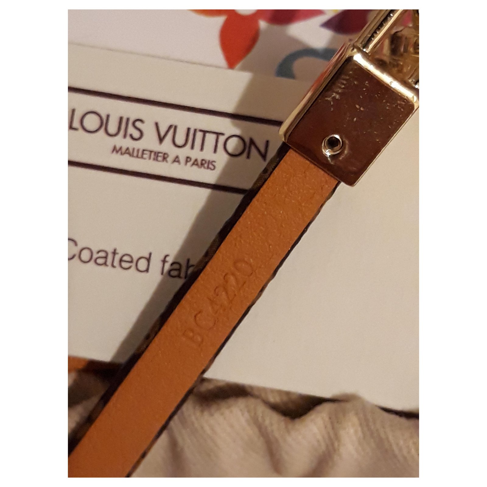 Louis Vuitton LV Palm Springs Dark brown Cloth ref.246046 - Joli Closet