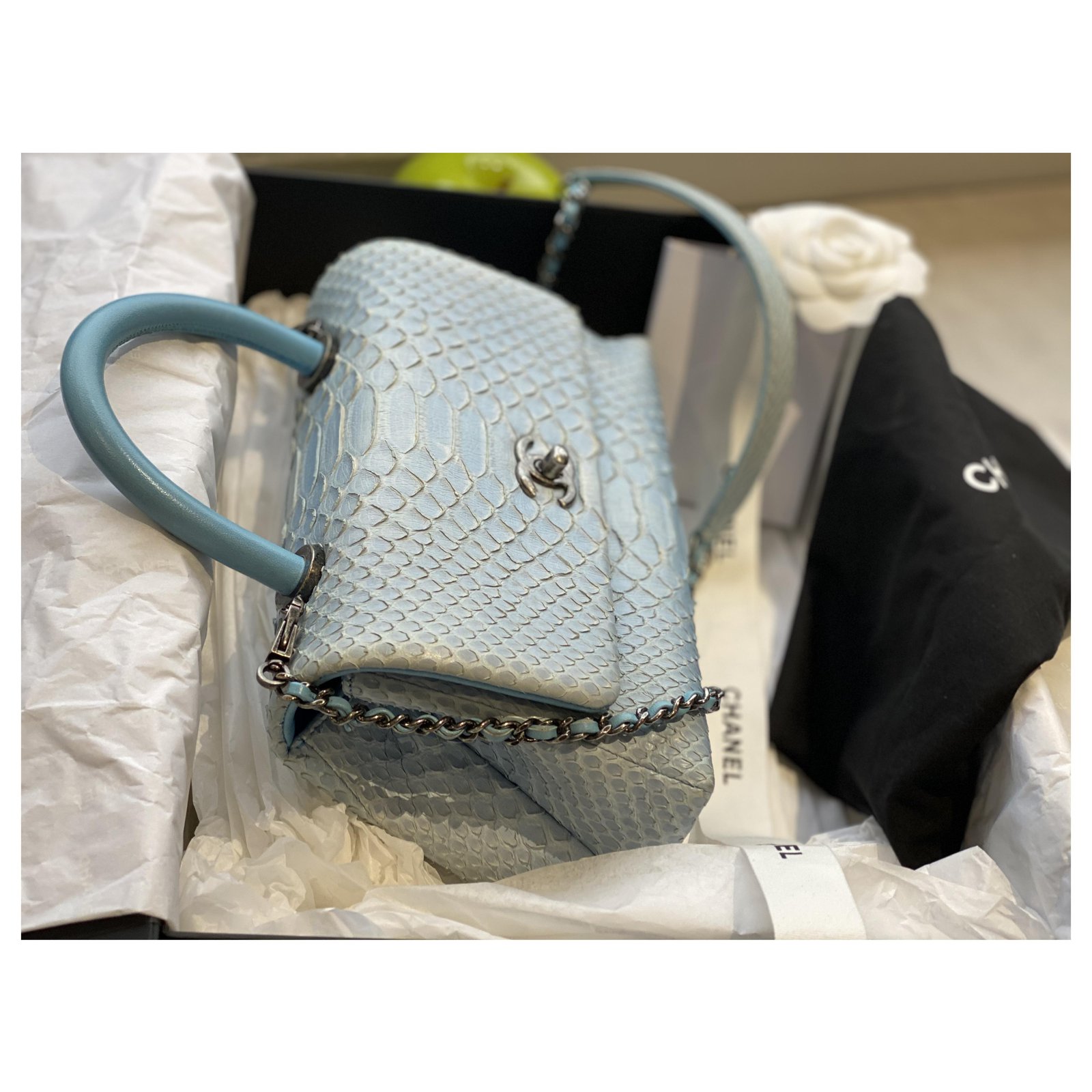 Chanel Coco handle small Blue Silver hardware Python ref.251205 - Joli  Closet