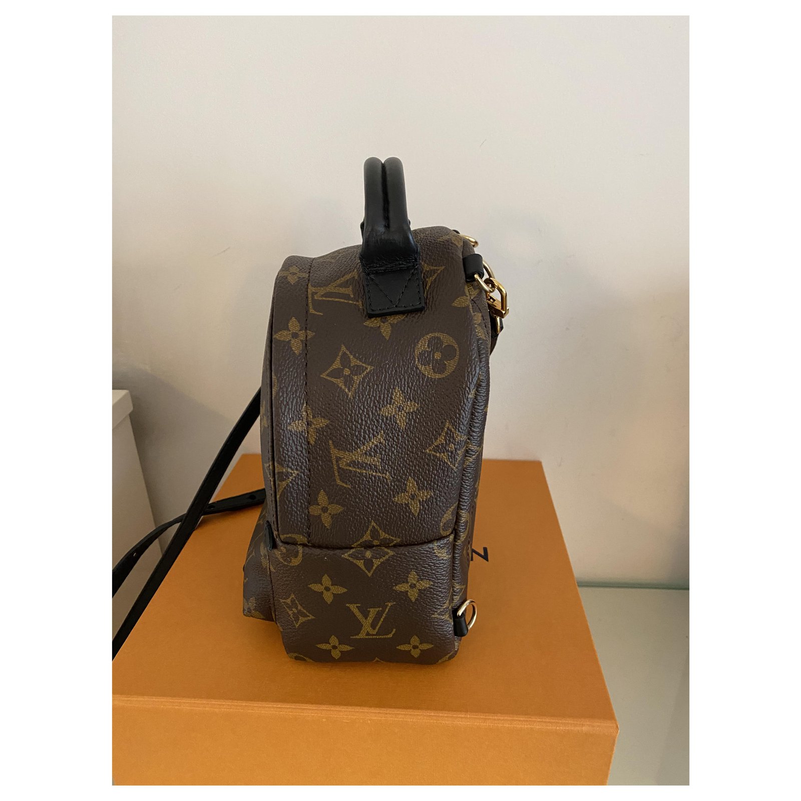 Louis Vuitton Palm Springs Mini Brown Leather ref.252303 - Joli Closet