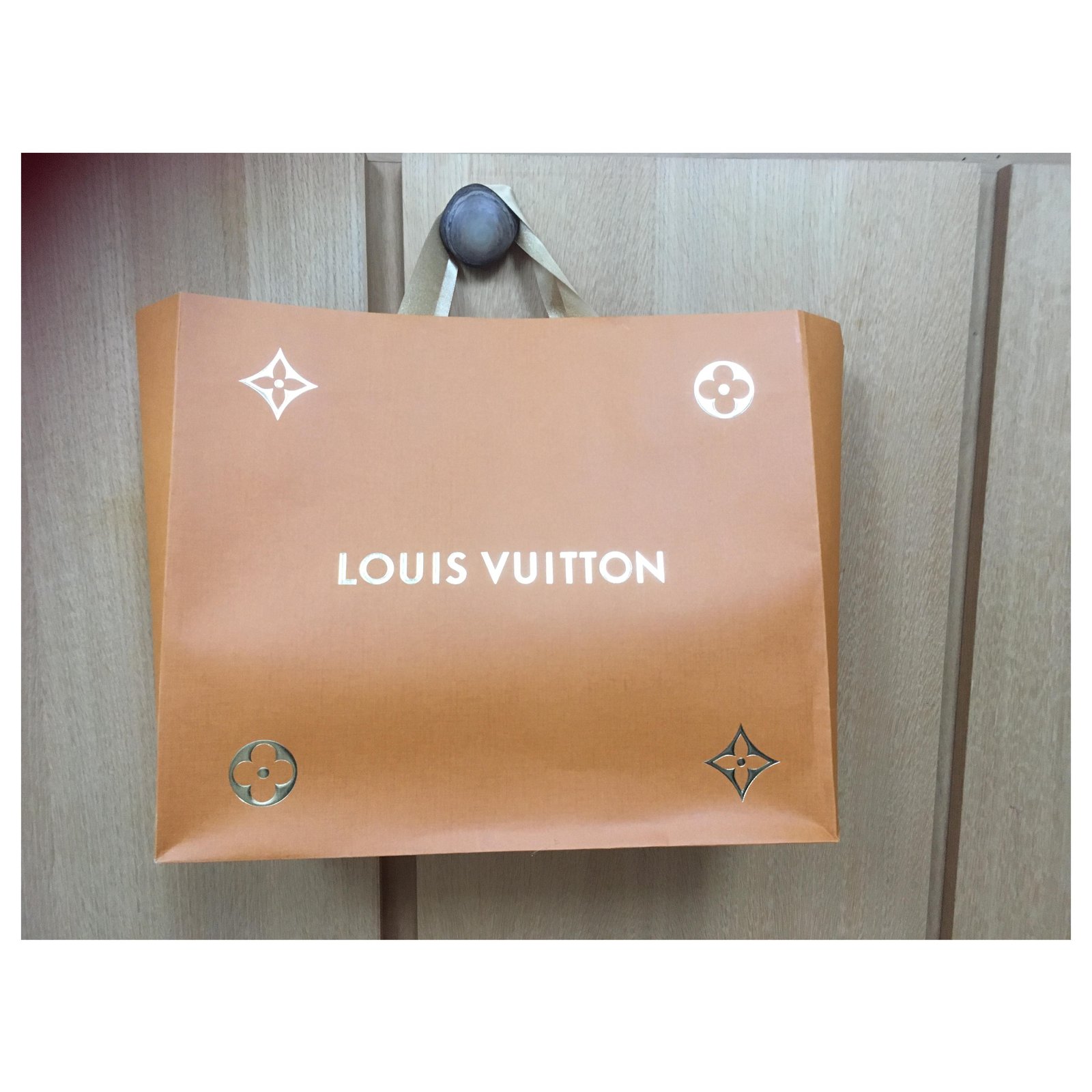 Louis Vuitton LV Bumbag new Brown ref.243596 - Joli Closet