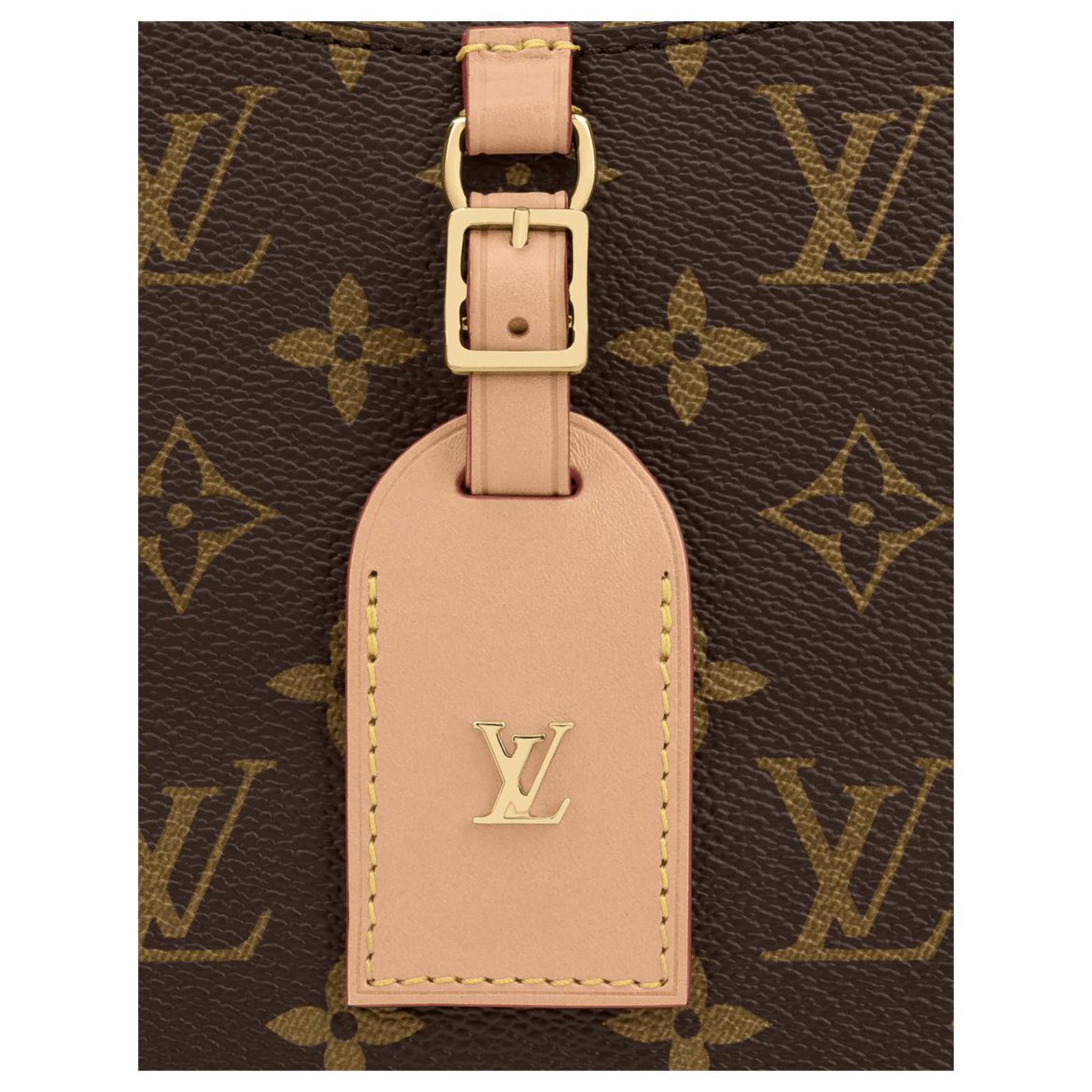 Louis Vuitton Mini Danube Brown Leather ref.182469 - Joli Closet