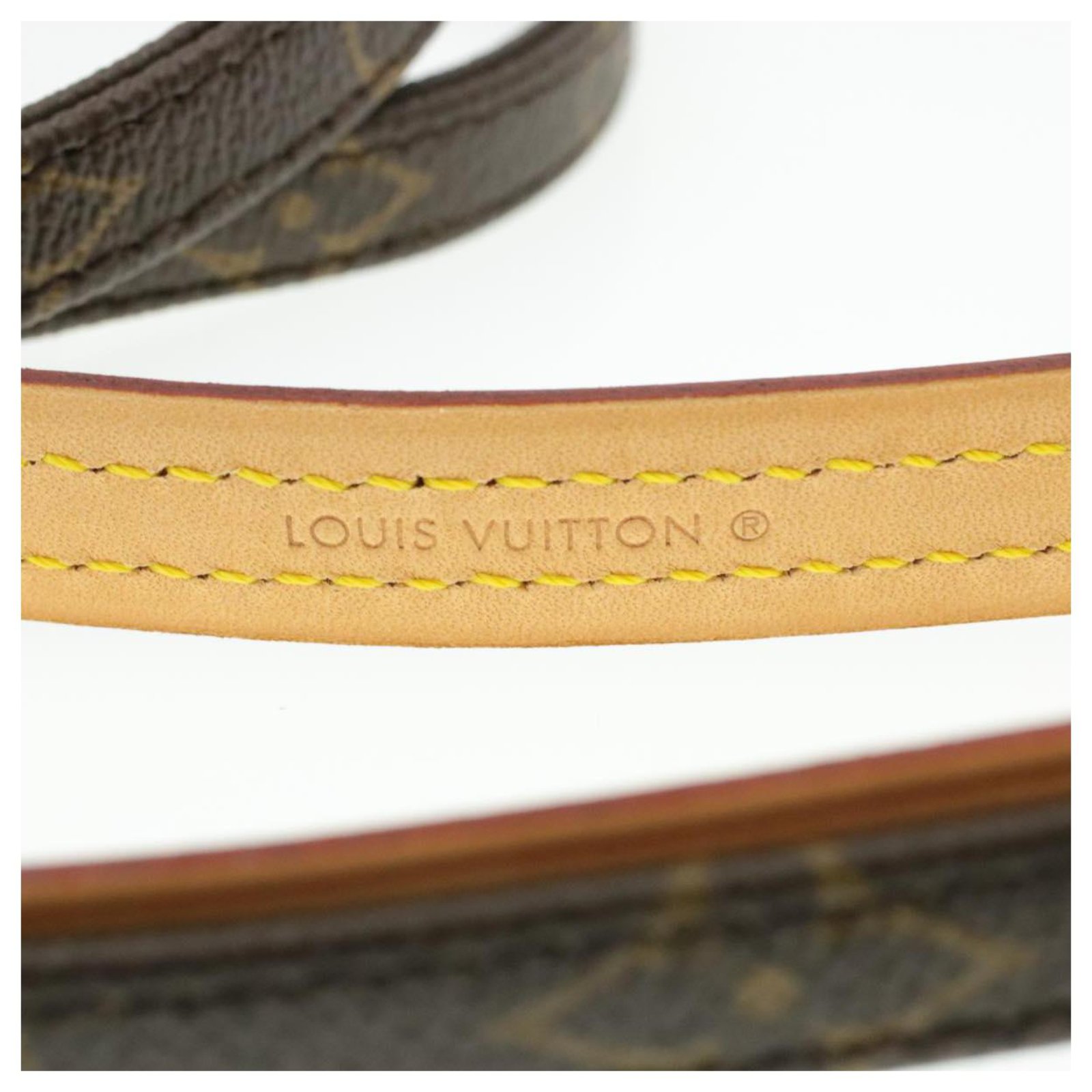 LOUIS VUITTON Monogram Baxter Dog Leash Collar Set LV Auth br118 Cloth  ref.271476 - Joli Closet