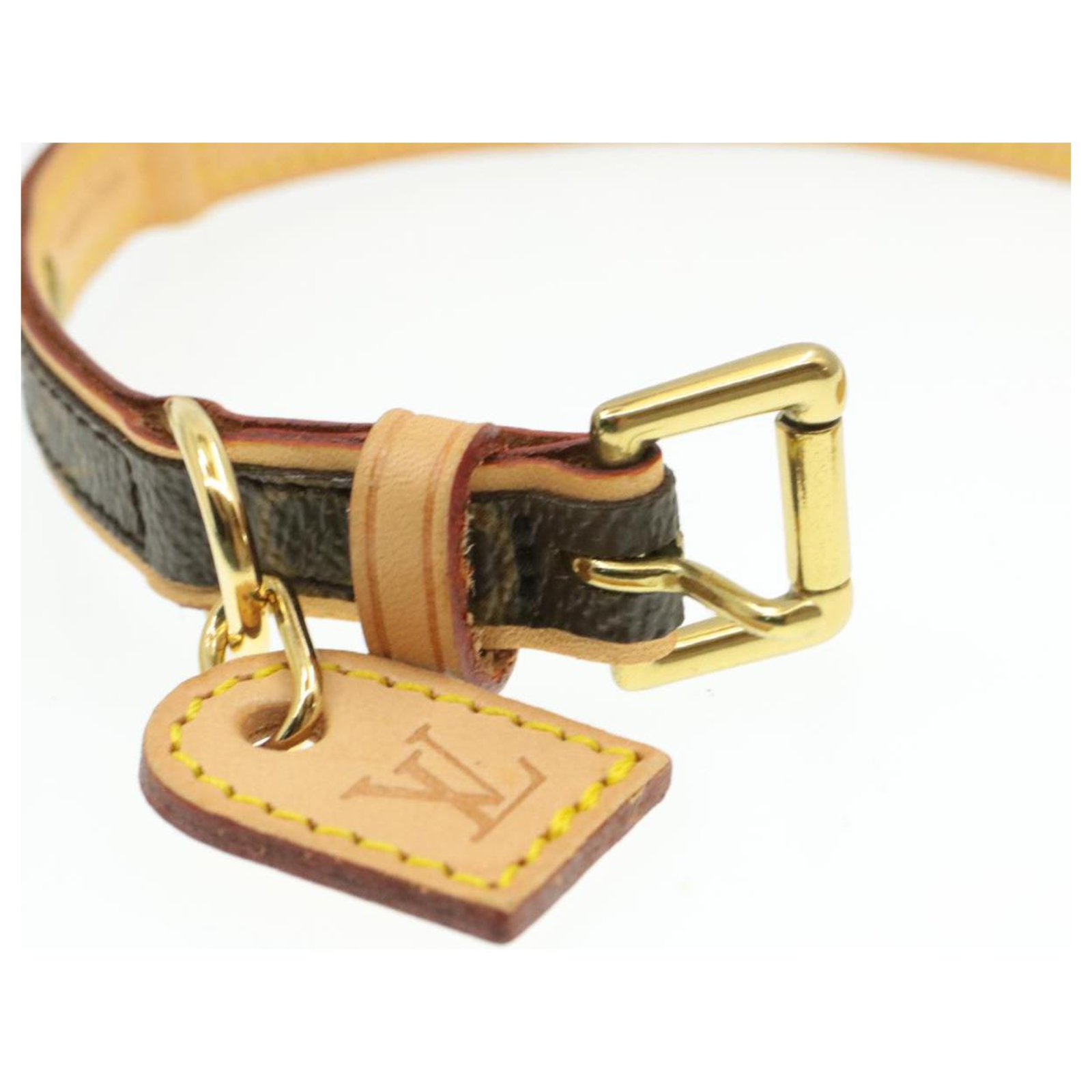 Louis Vuitton Large Monogram Baxter GM Dog Leash and Collar Set Leather  ref.348784 - Joli Closet