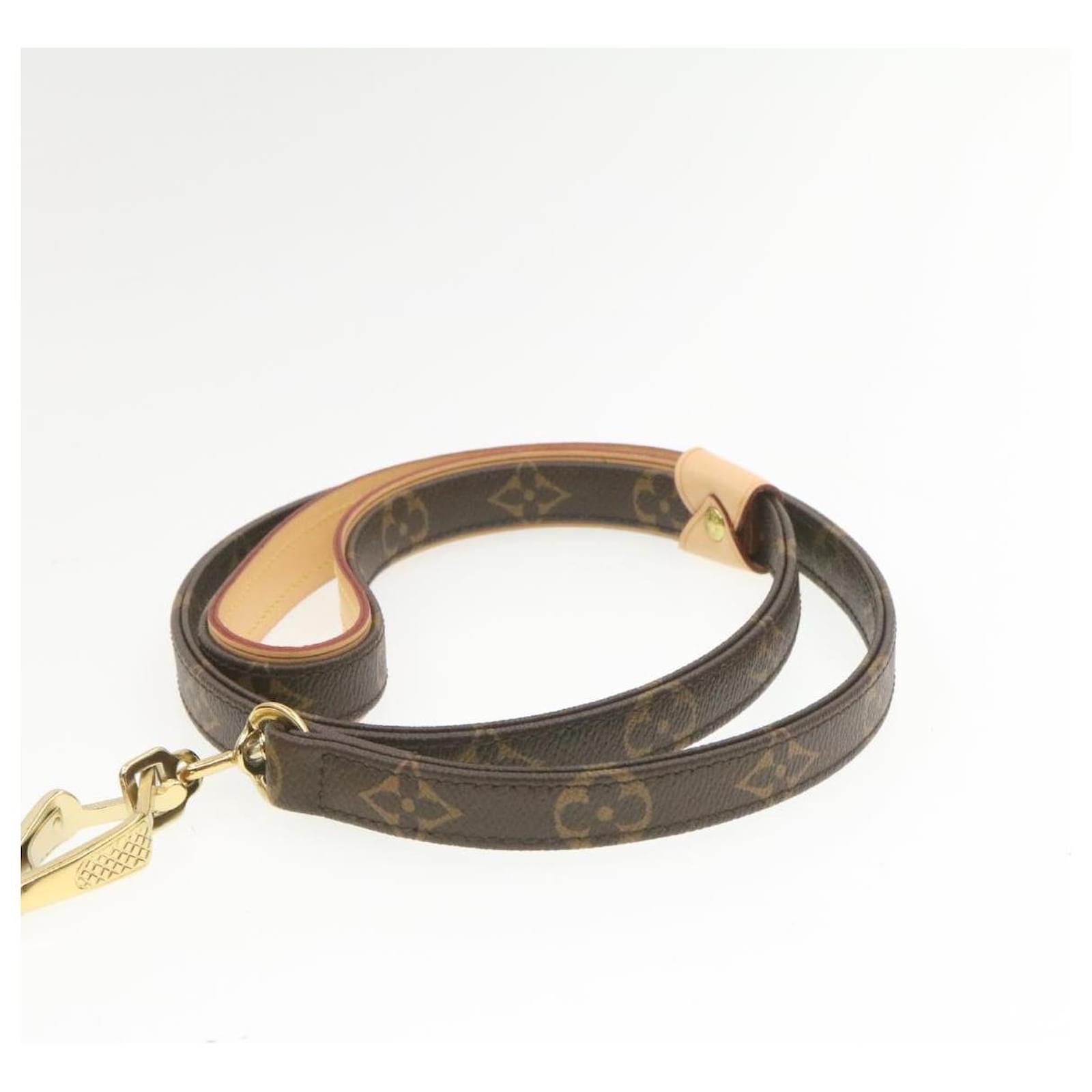 Louis Vuitton Baxter PM Hundehalsband Gold Ring & Baxter MM Hundeleine Set  CV4187