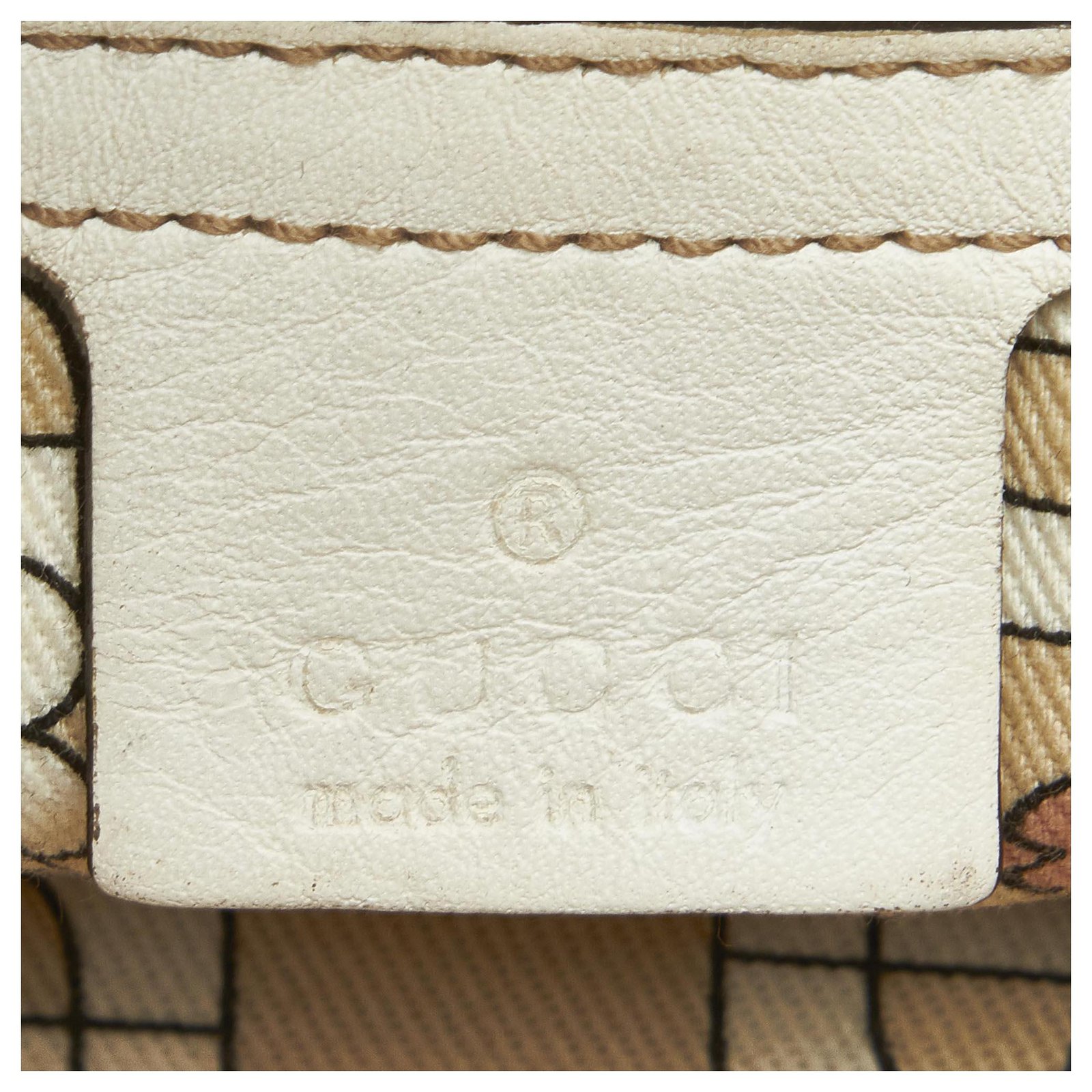 Gucci White Craft Canvas Tote Bag Brown Dark brown Leather Cloth Pony-style  calfskin Cloth ref.392570 - Joli Closet