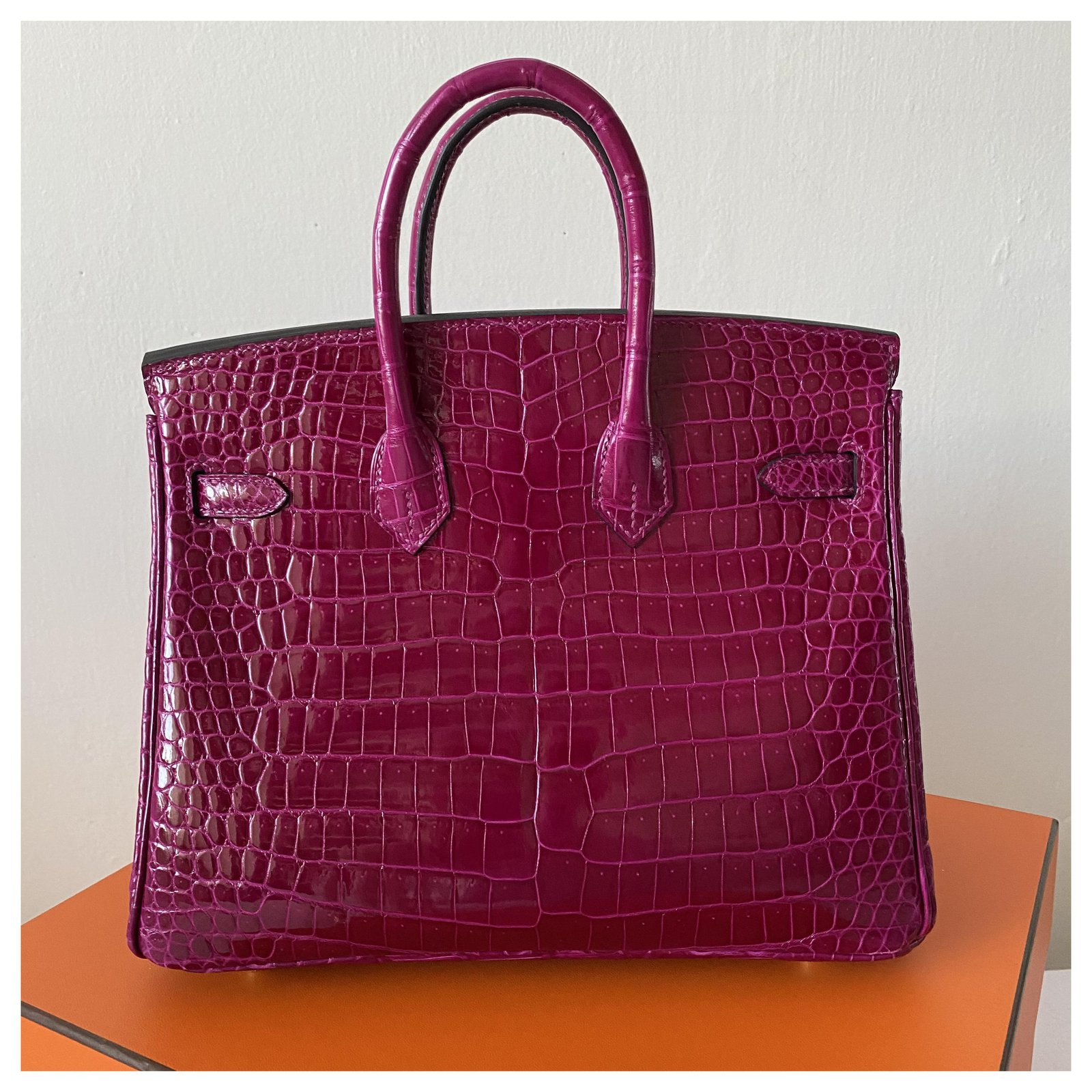 Hermès Birkin 25 Pink Exotic leather ref.272582 - Joli Closet