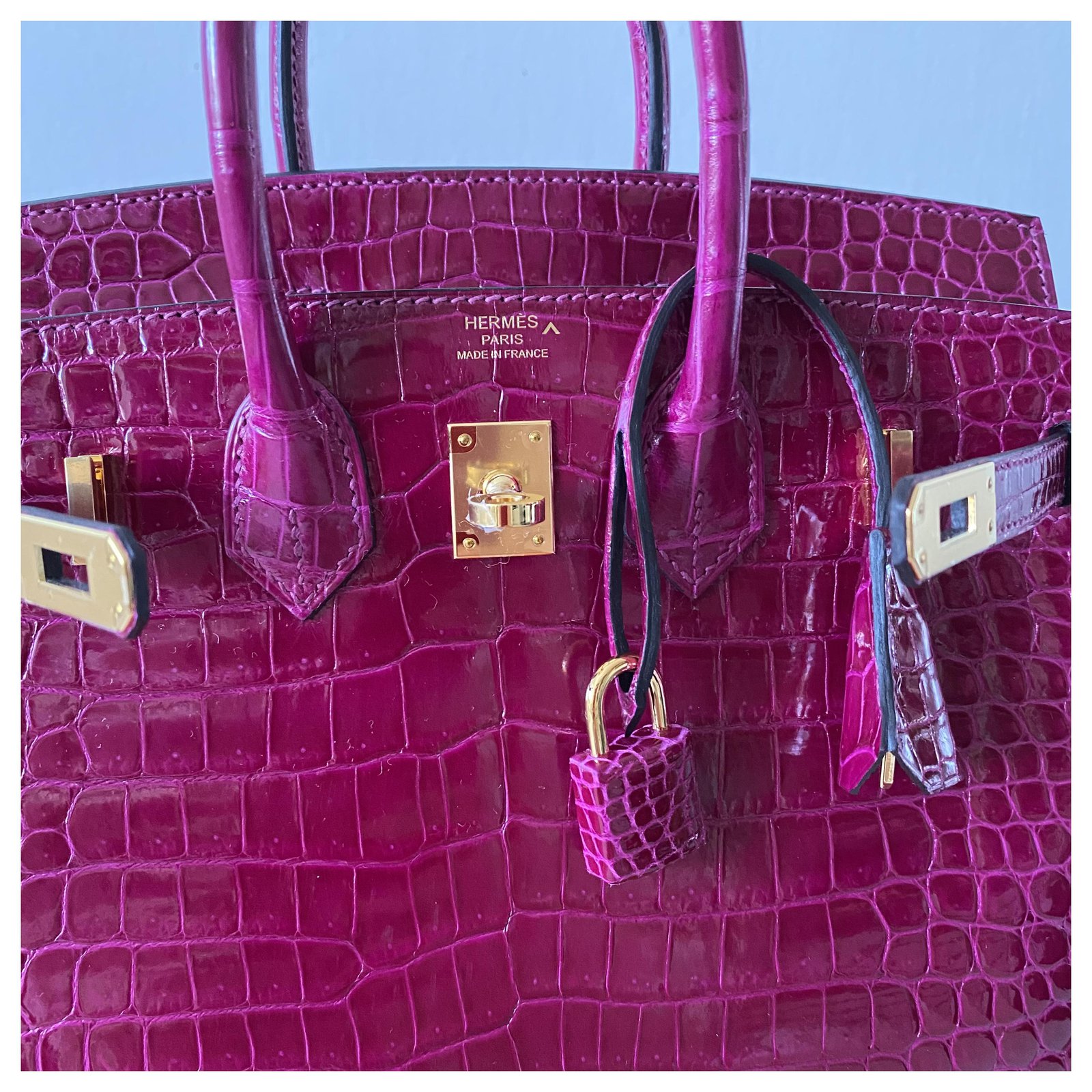 Birkin 25 in Fuchsia Croc  Birkin 25, Handbag, Hermes birkin