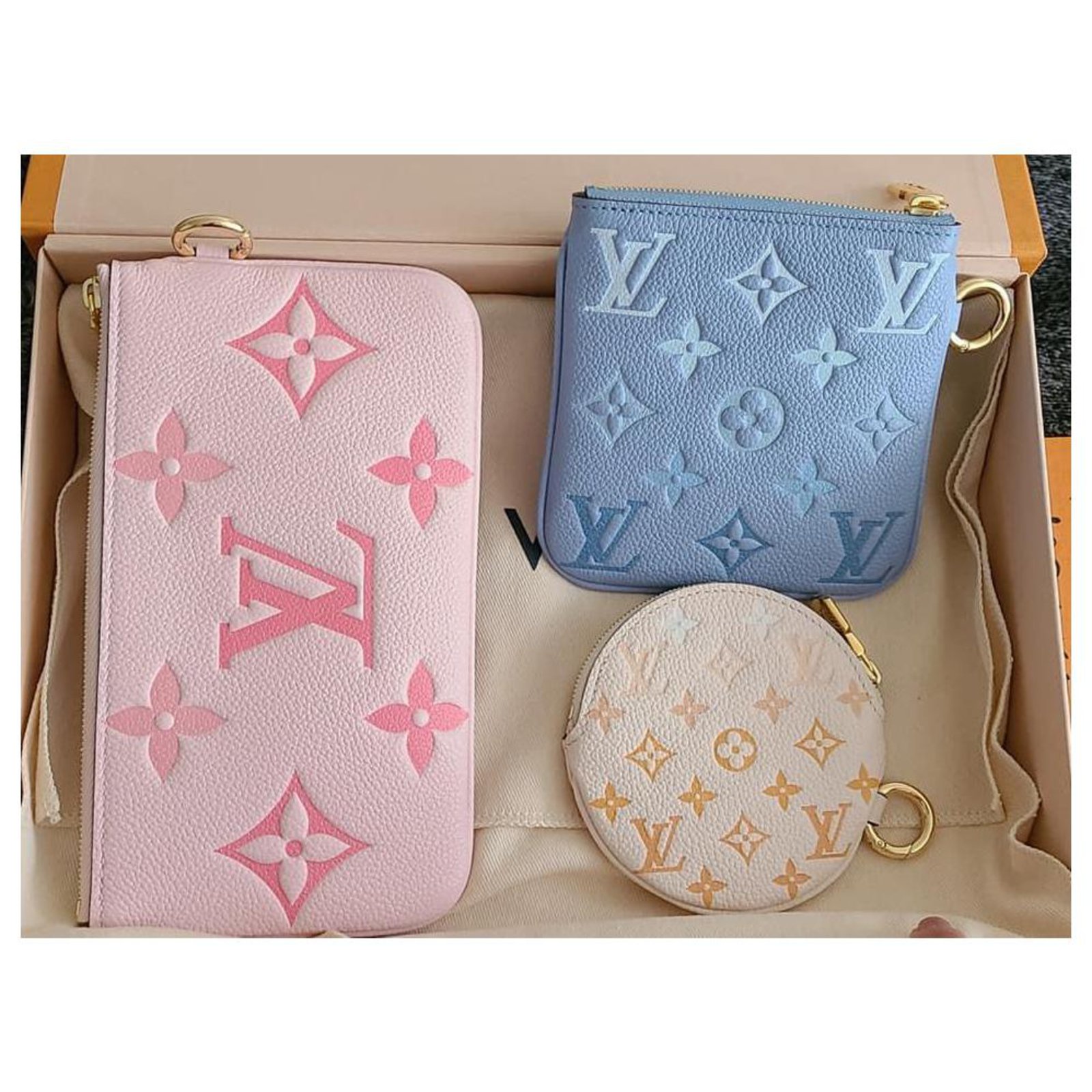 Louis Vuitton LV trio pouch by the pool Multiple colors Leather