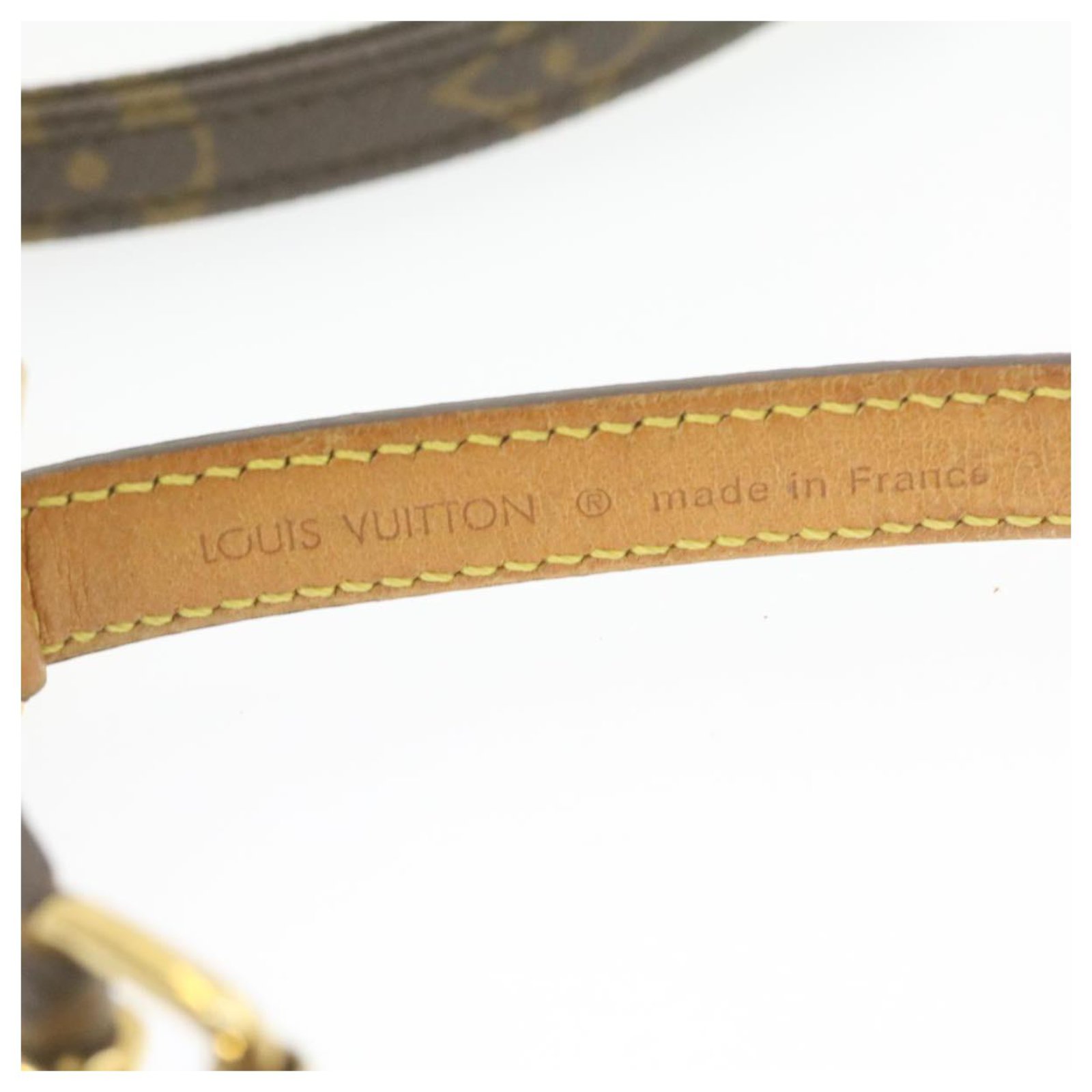 Louis Vuitton NEU Hundehalsband PM Leine Baxter