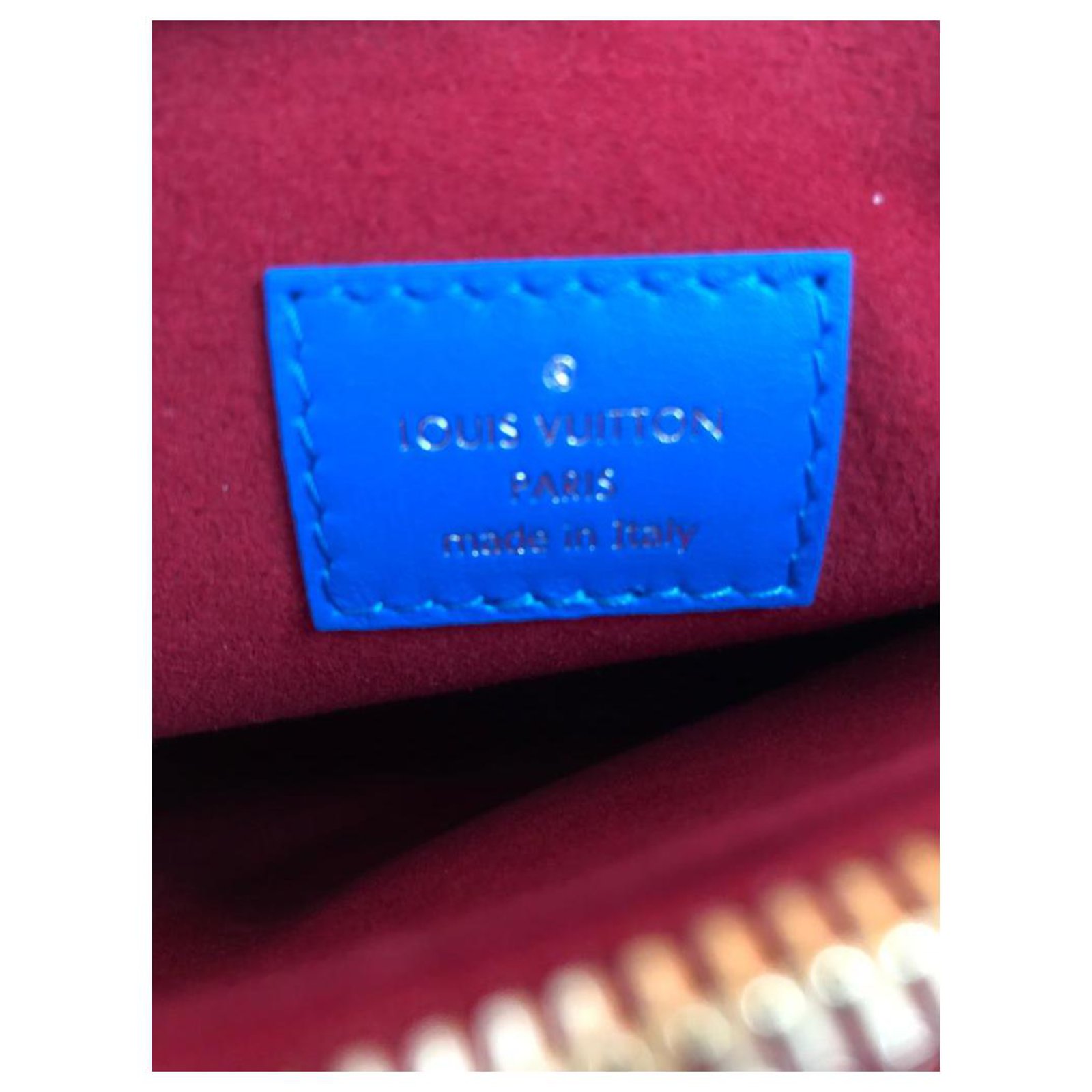 louis vuitton Coussin PM Prefall 21 Vuittamine Red Blue Leather ref.289219  - Joli Closet
