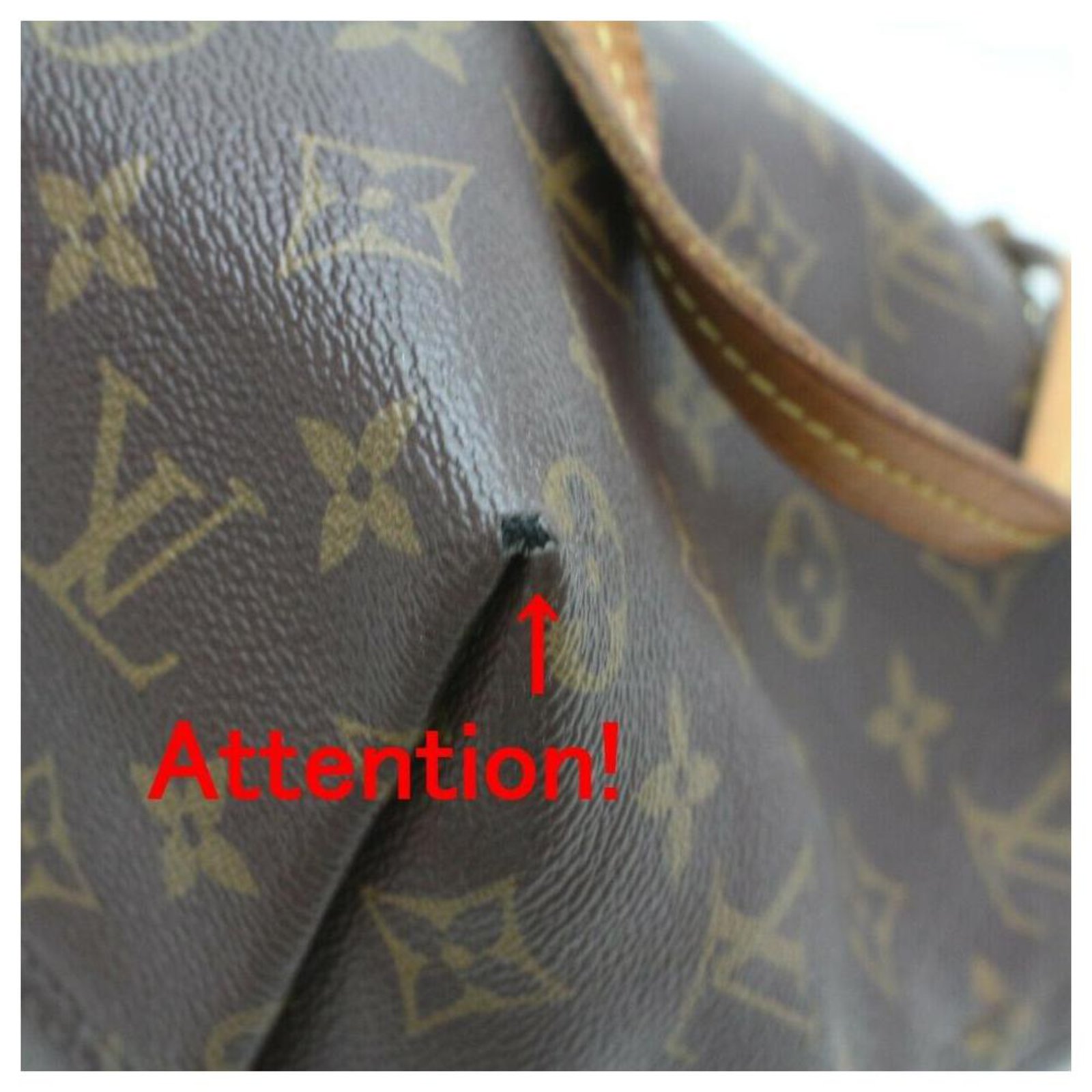 Louis Vuitton, Bags, Louis Vuitton Lena Mm Zip Tote In Monogram