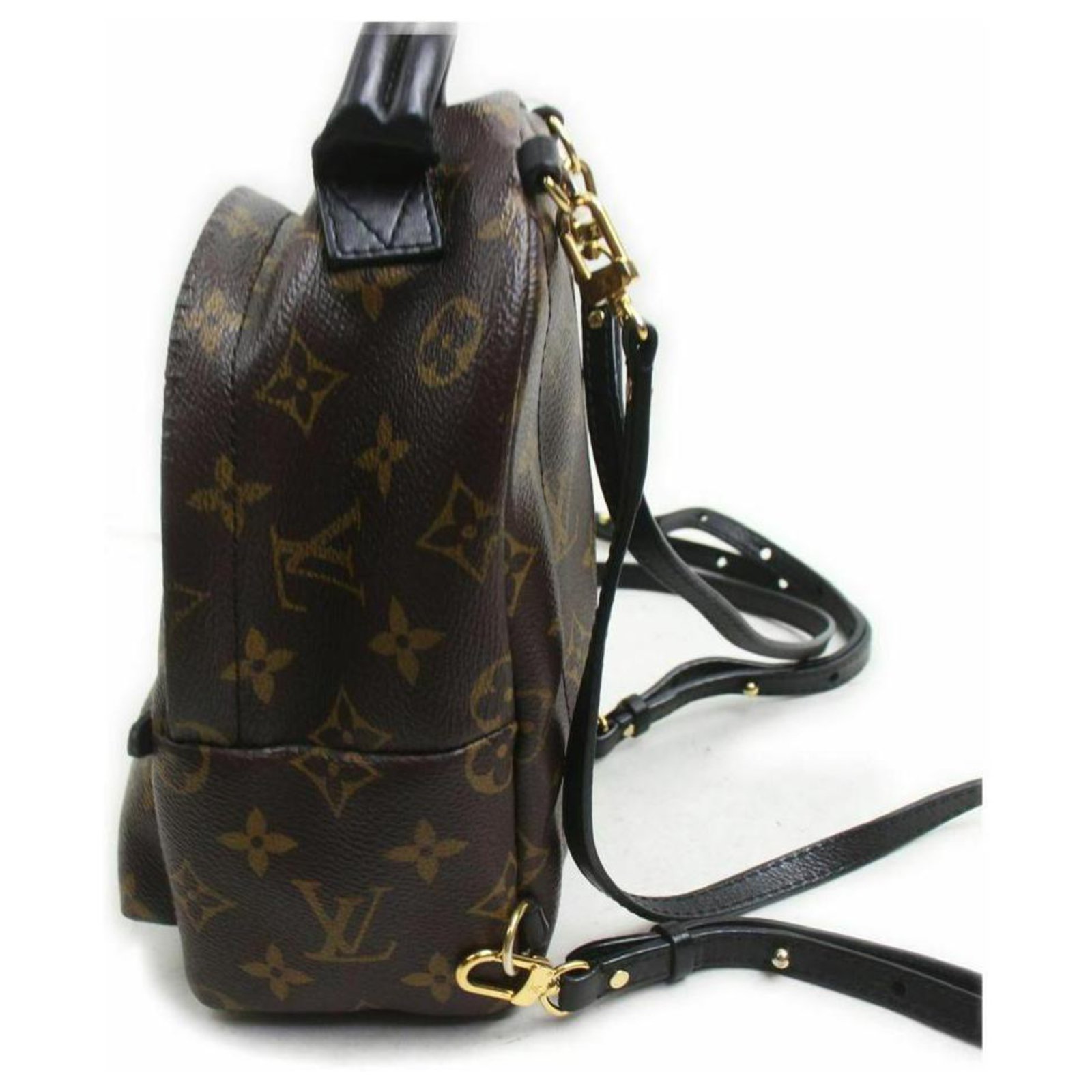 Louis Vuitton Monogram Palm Springs Mini Backpack 860930