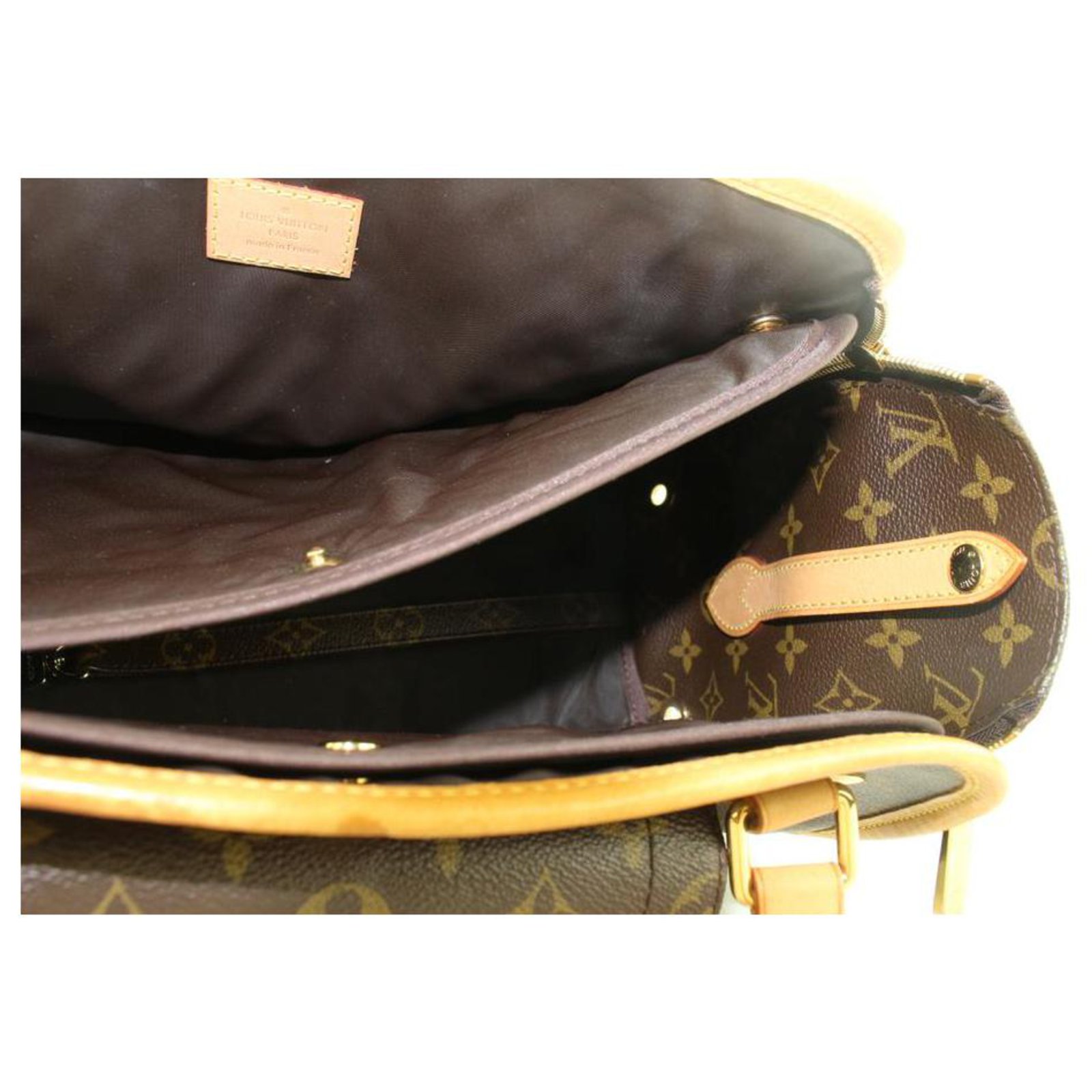 Louis Vuitton Monogram Baxter PM Dog Cat Pet Carrier Bag Leather ref.297830  - Joli Closet