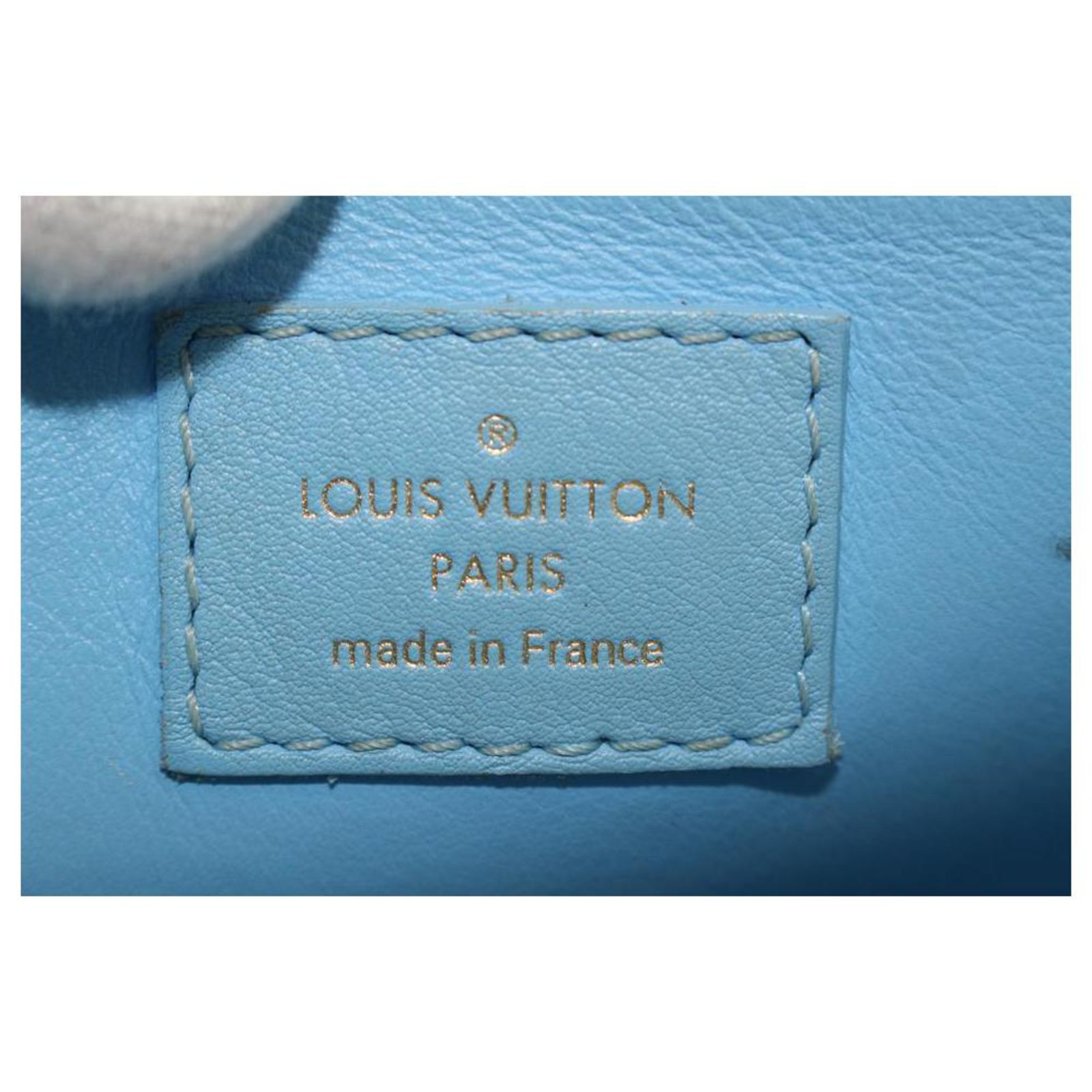 Néonoé Louis Vuitton Jeff Koons MastersTurner Neo Noe Hobo Bag Leather  ref.298635 - Joli Closet