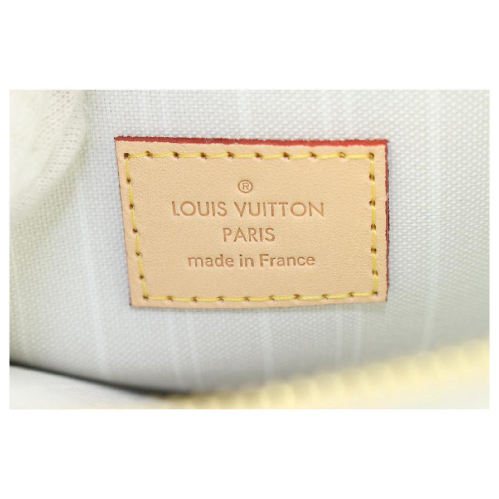 Louis Vuitton Brume Peach Mist Monogram By the Pool Neverfull Pochette Bag  27lvs422