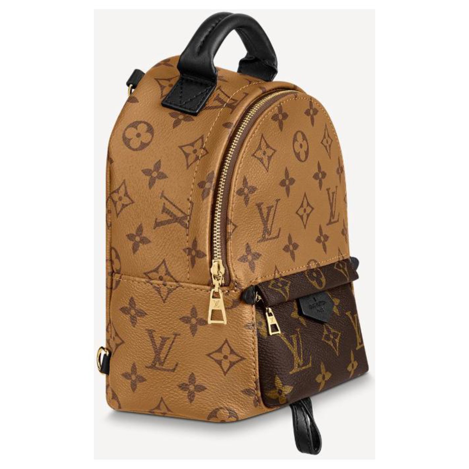Louis Vuitton LV Palm spring mini backpack reverse Brown Leather