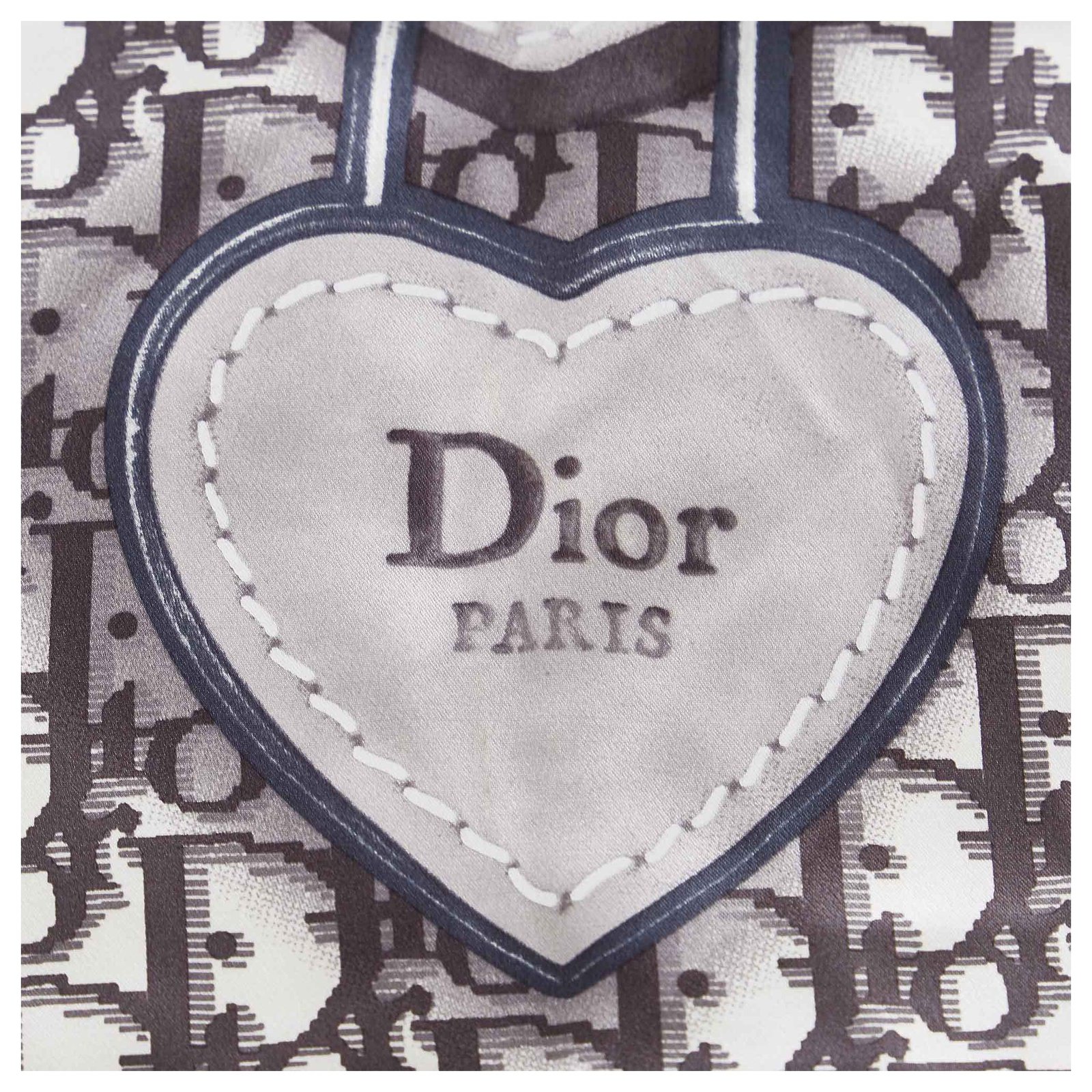 Dior Gray Dior Oblique Silk Scarf White Grey Cloth ref.318709 - Joli Closet