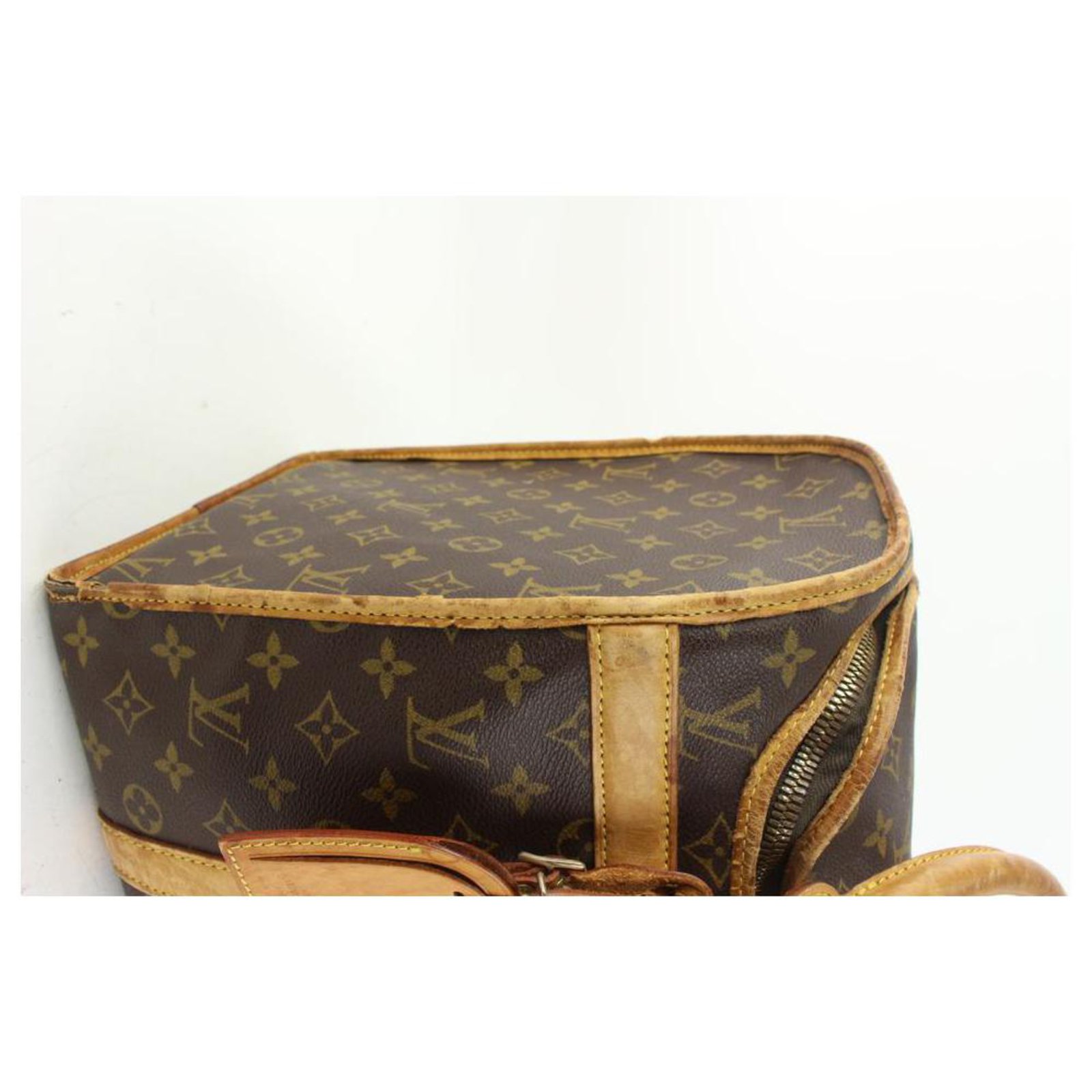 Louis Vuitton Sac Shan 40 Pet Carrier Bag Monogram Brown Storage Bag  Authentic