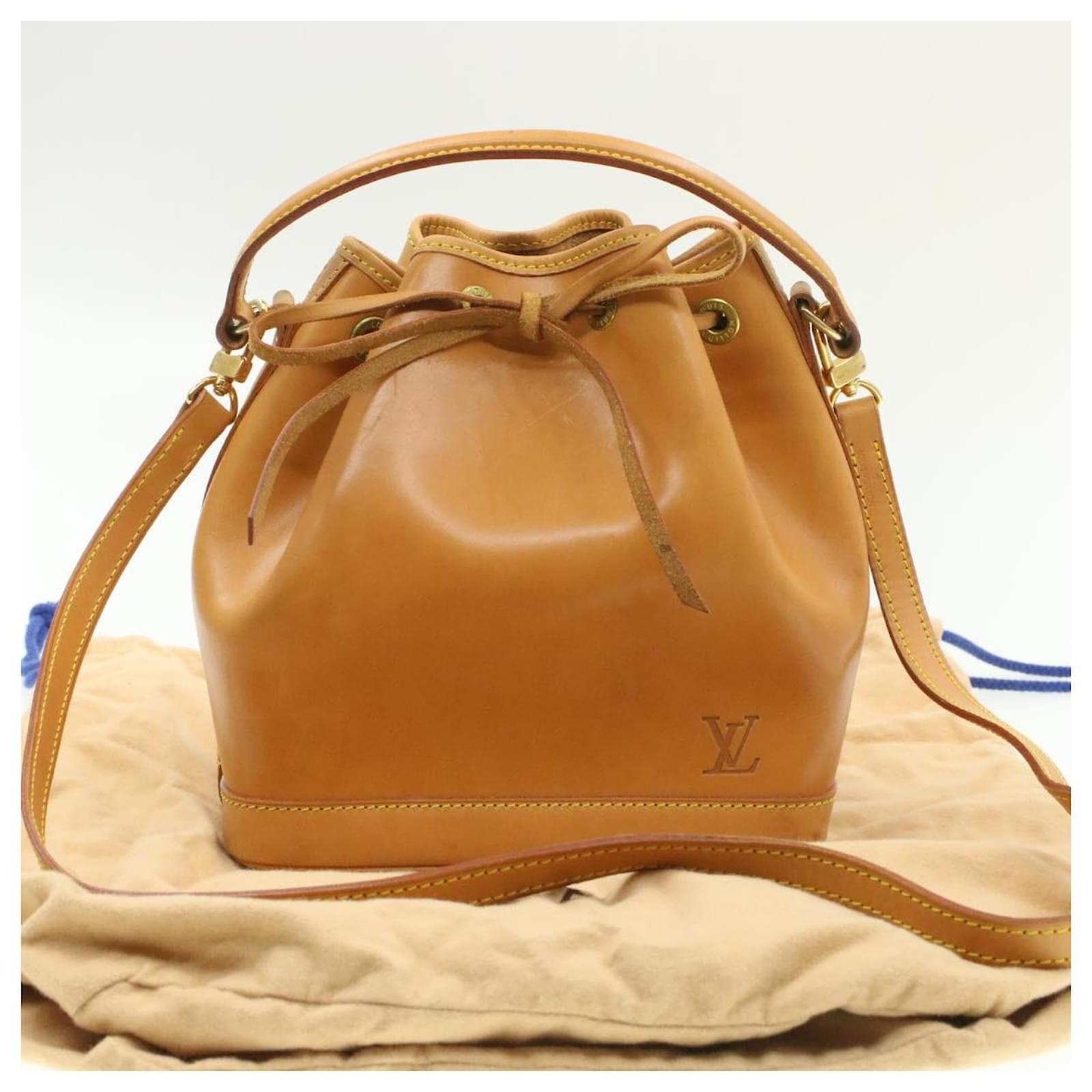 LOUIS VUITTON Nomade Mini Noe 2Way Hand Bag Shoulder Bag M43528 LV Auth  17407