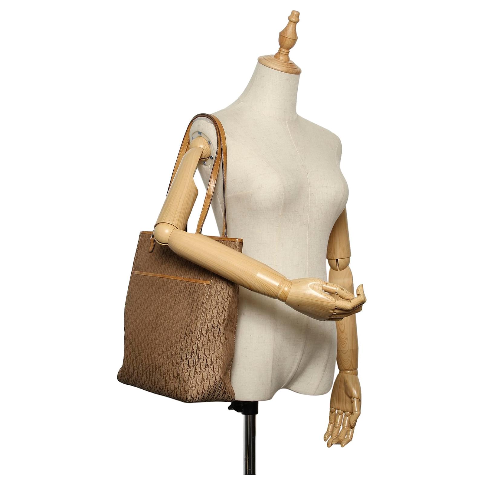 Dior Brown Dior Oblique Canvas Tote Bag Beige Leather Cloth Pony-style  calfskin Cloth ref.317938 - Joli Closet