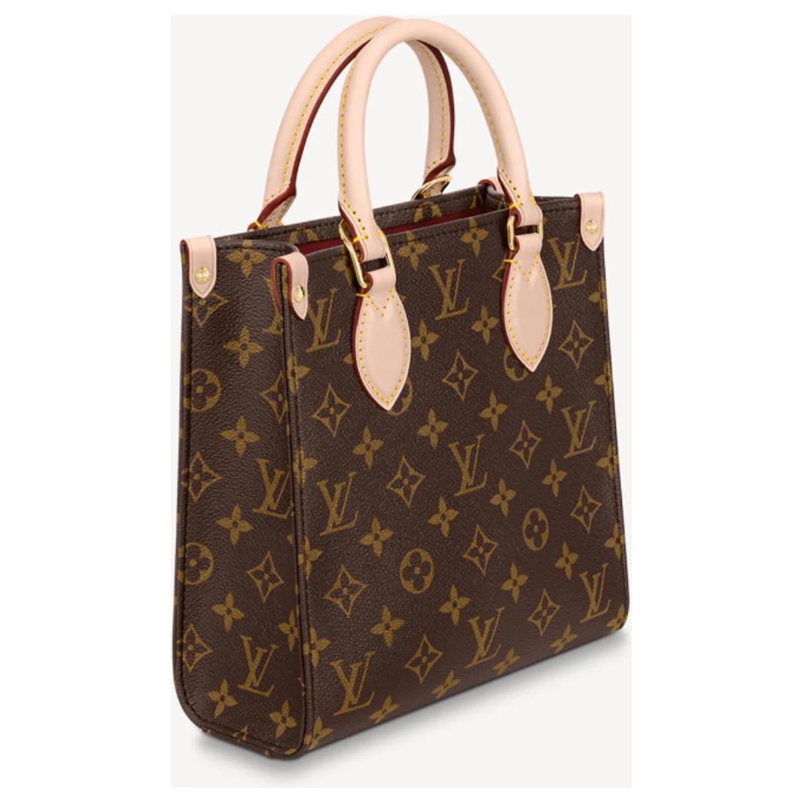 Louis Vuitton Womens Sac Plat PM Tote Bag – Luxe Collective