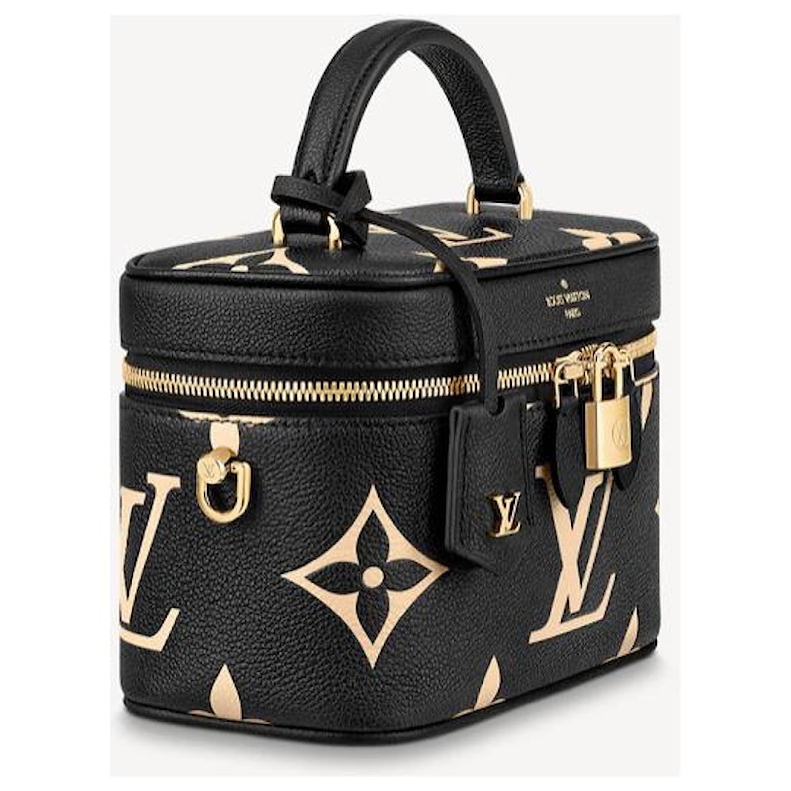 Louis Vuitton LV Vanity PM Handbag