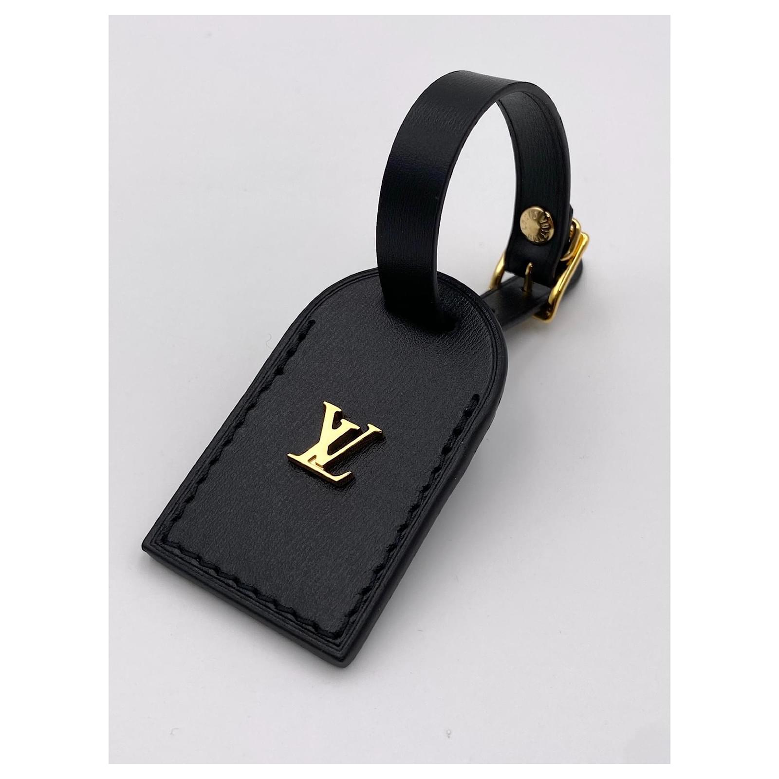 Louis Vuitton AVION Cuir Marron foncé ref.93103 - Joli Closet