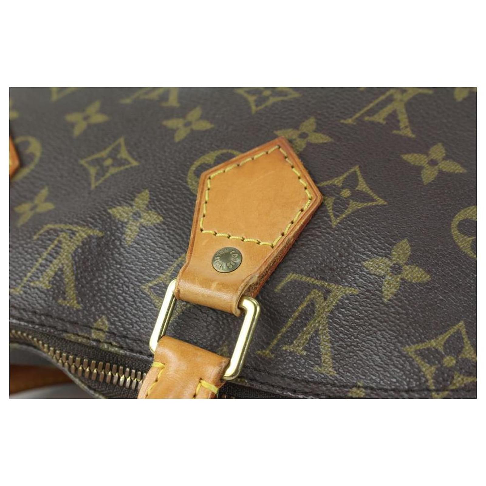 Louis Vuitton Monogram Alma PM Dome Boston Bag