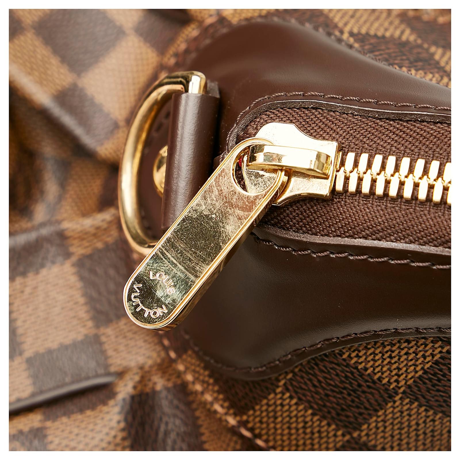Louis Vuitton Brown Damier Ebene Trevi PM Leather Cloth Pony-style calfskin  ref.981298 - Joli Closet