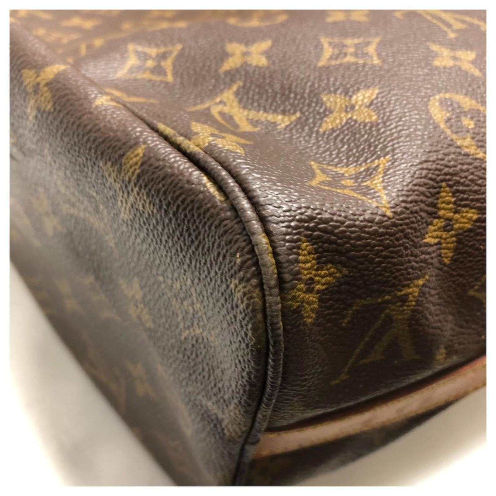 Flanerie cloth tote Louis Vuitton Brown in Cloth - 33332526