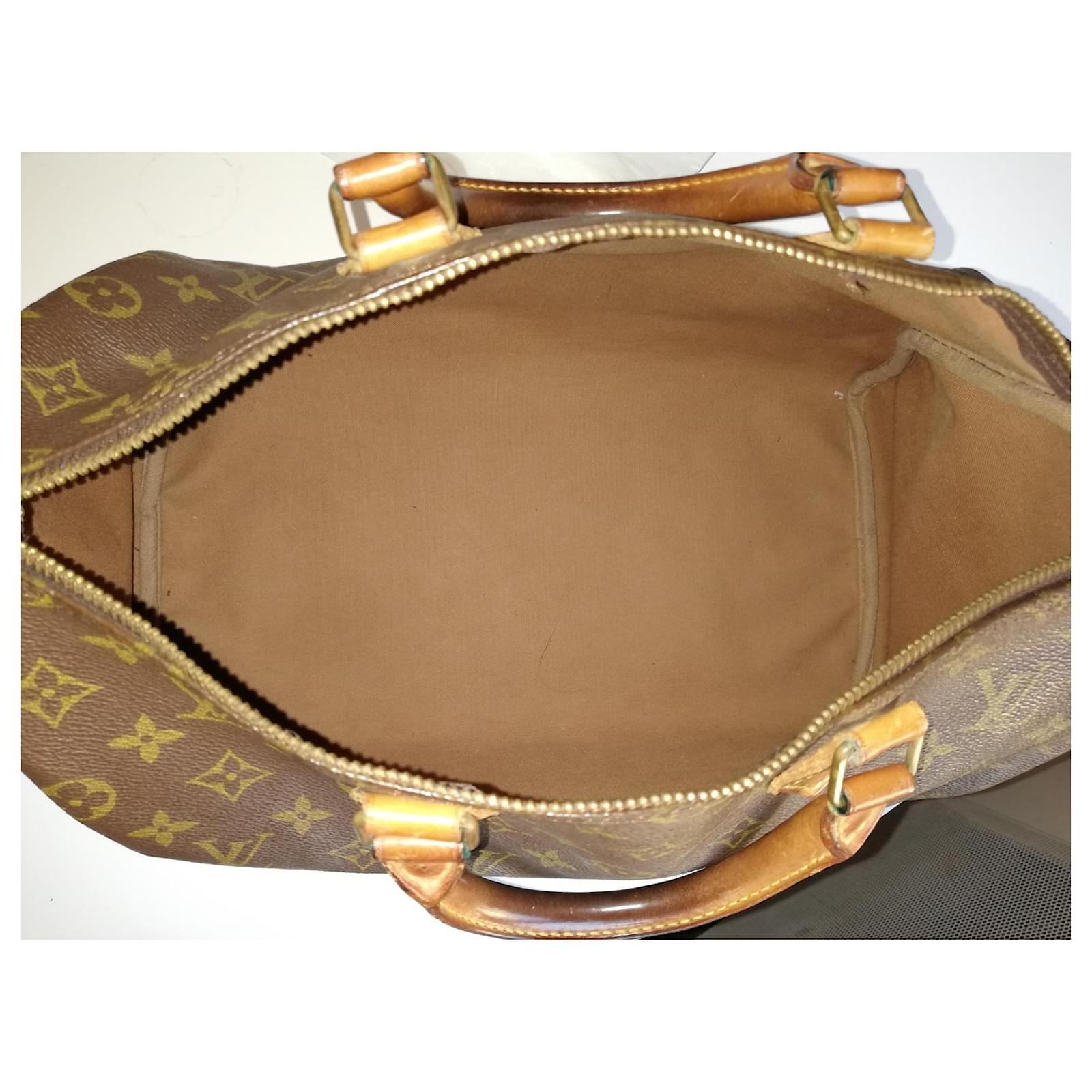 Louis Vuitton Speedy (Vintage) Brown Cloth ref.377709 - Joli Closet