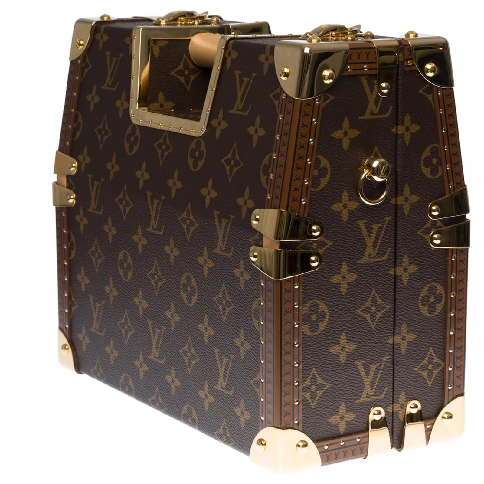 Louis Vuitton Favourite PM Monogram Canvas Brown Leather ref.562763 - Joli  Closet