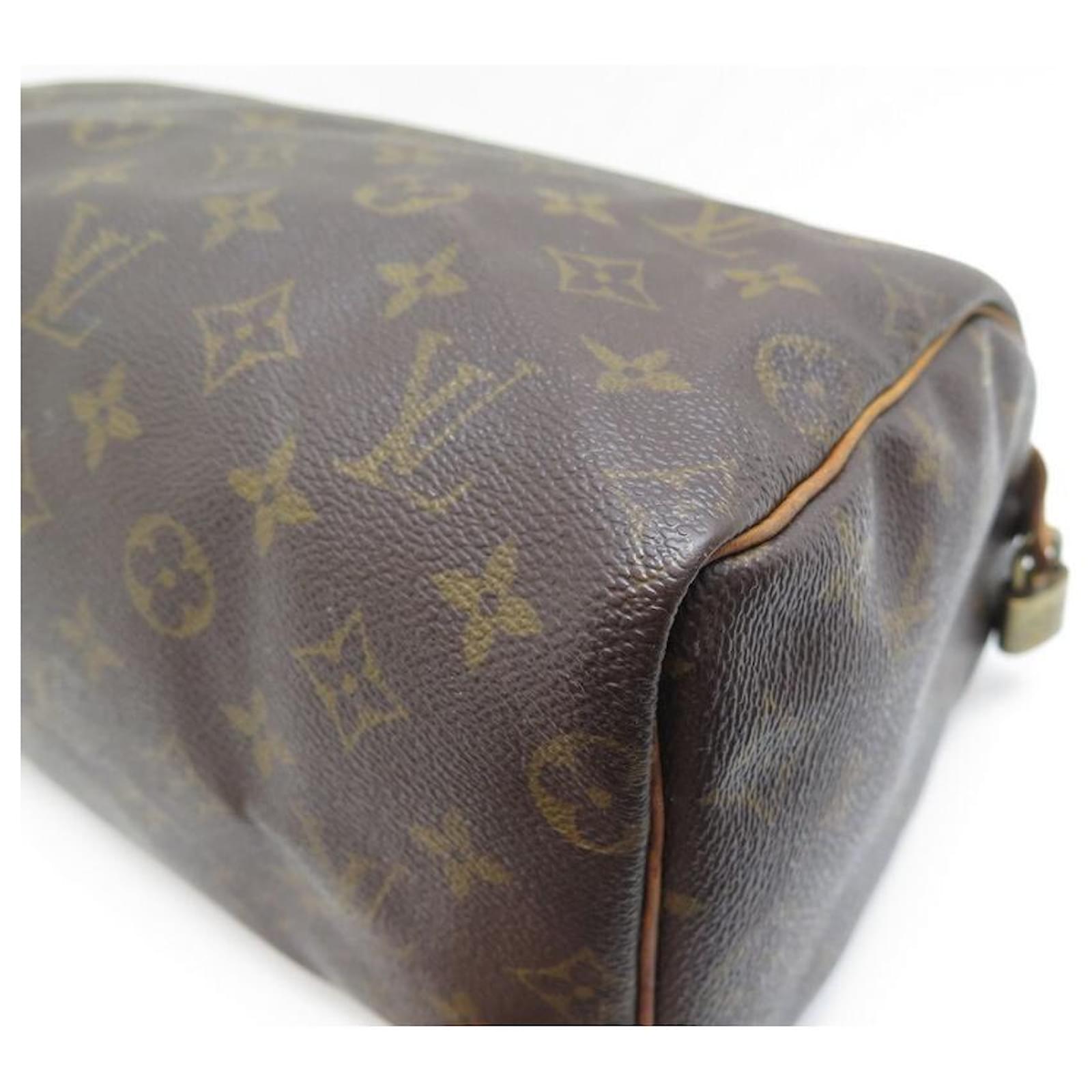 sac a main louis vuitton speedy 25 m41109 toile