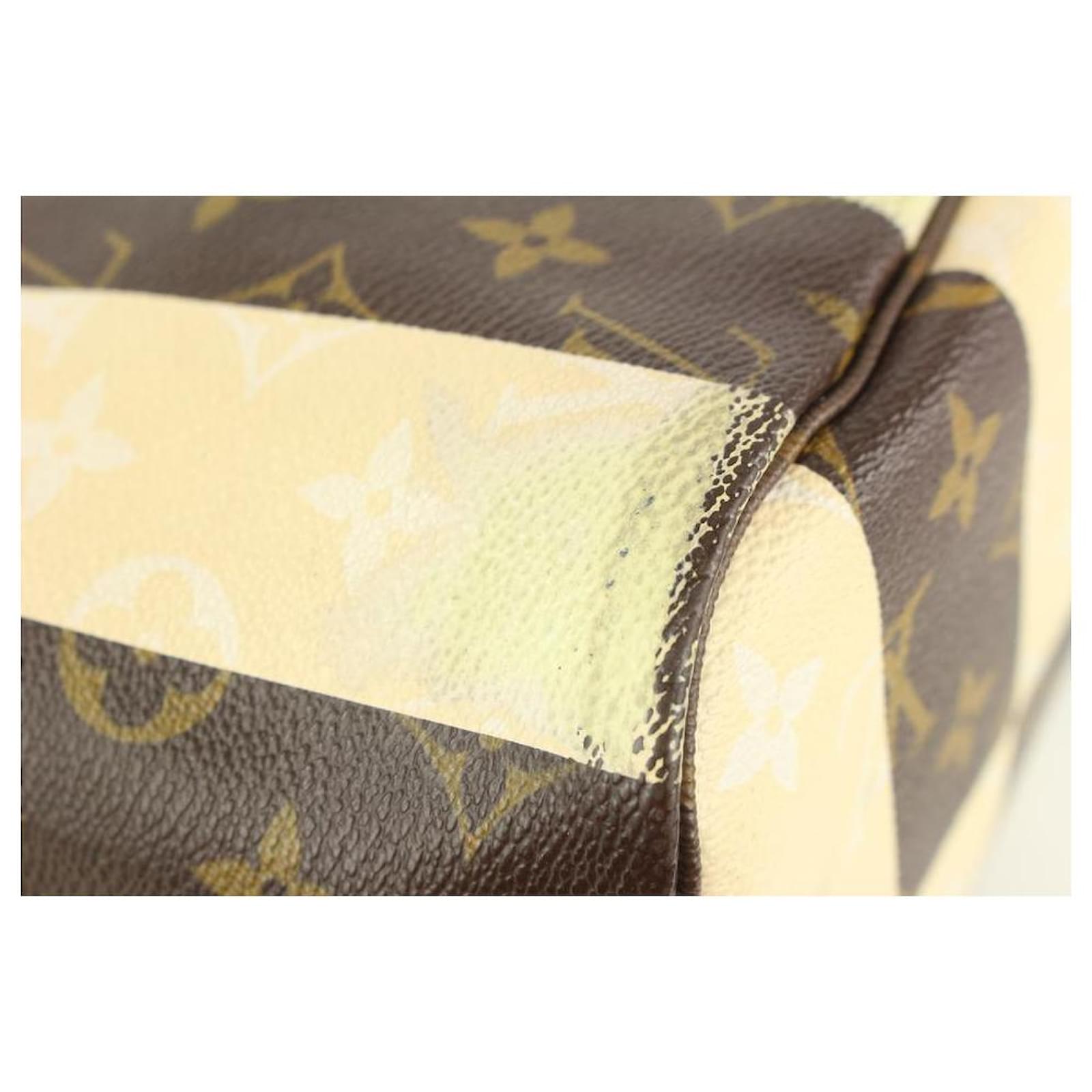 Louis Vuitton Neverfull Tote Limited Edition Monogram Rayures Mm