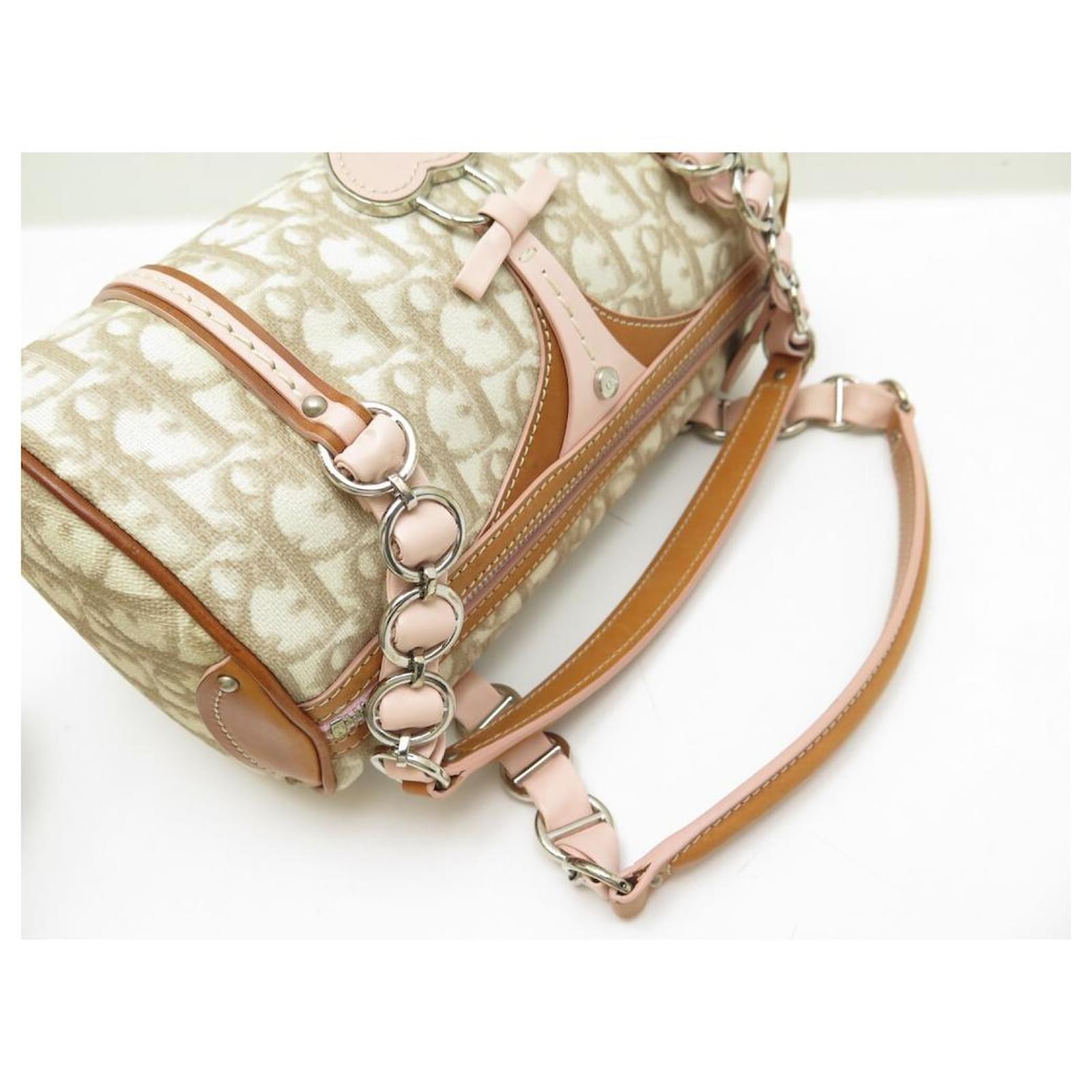 Dior Sweet Trotter Handbag 215503