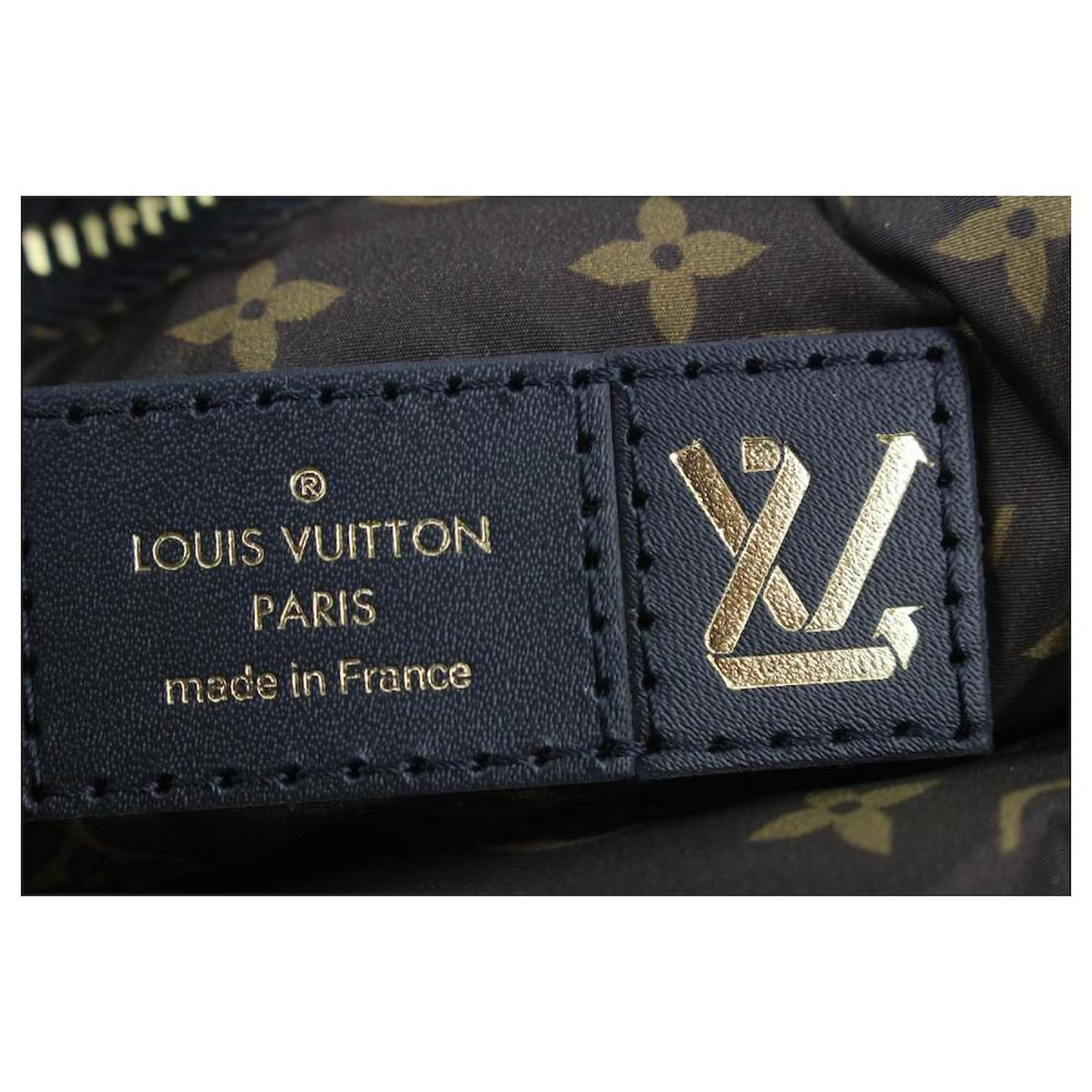 Louis Vuitton Black Puffer Monogram Pillow Multi Pochette Maxi Crossbody  Bag ref.406232 - Joli Closet